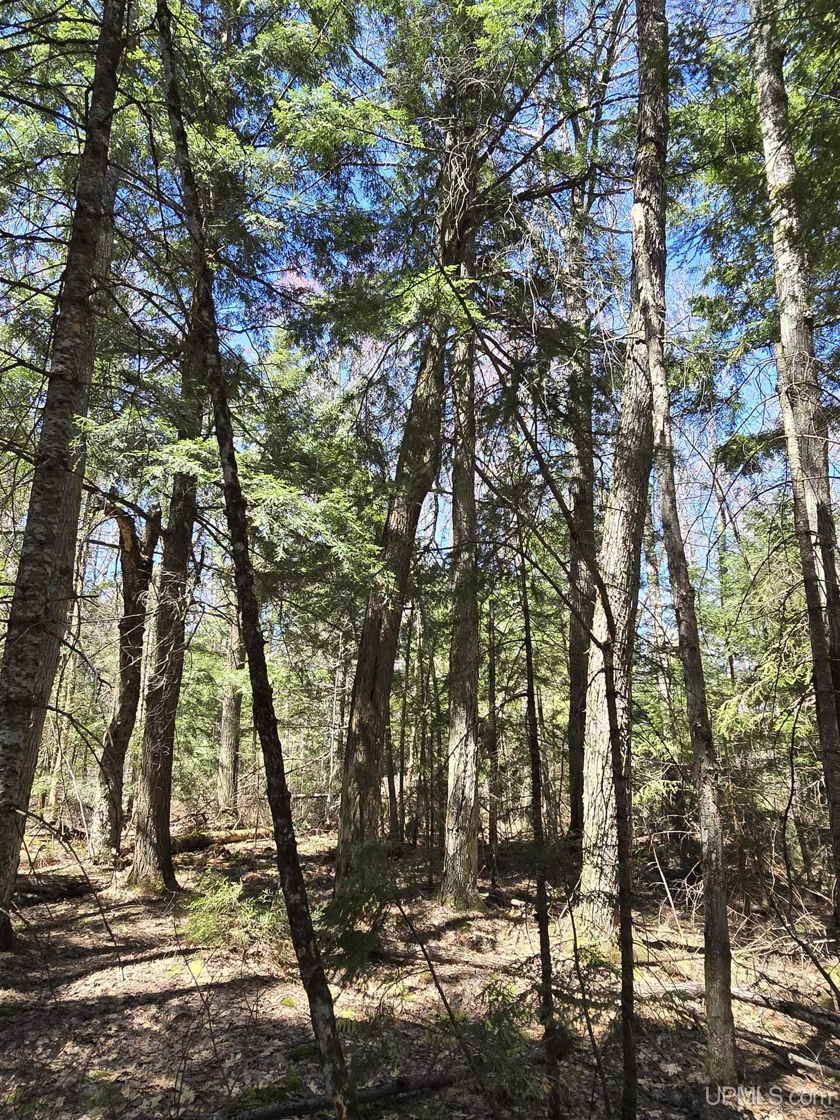 Tbd Murphy Road Property Photo 31