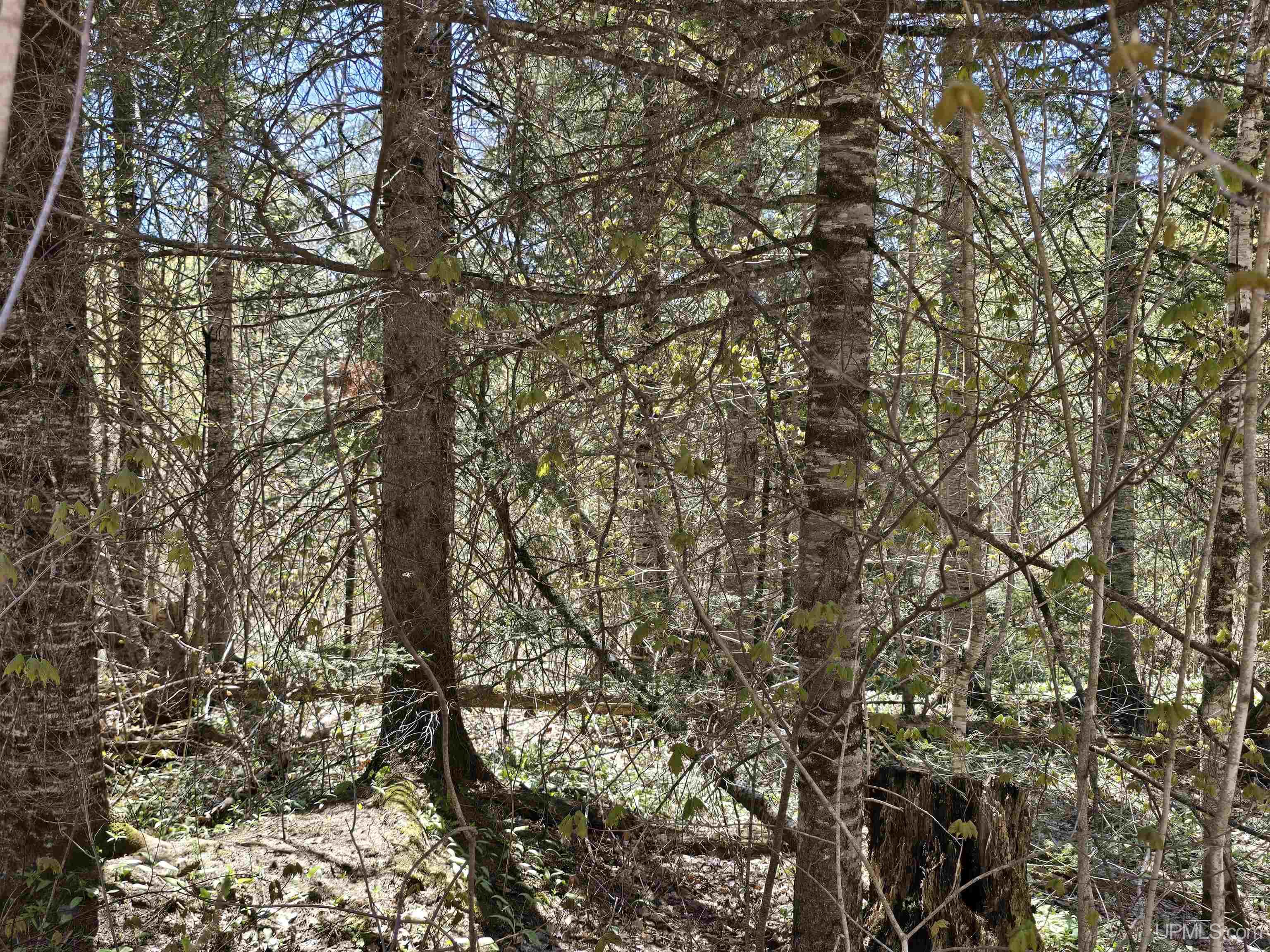Tbd Murphy Road Property Photo 34