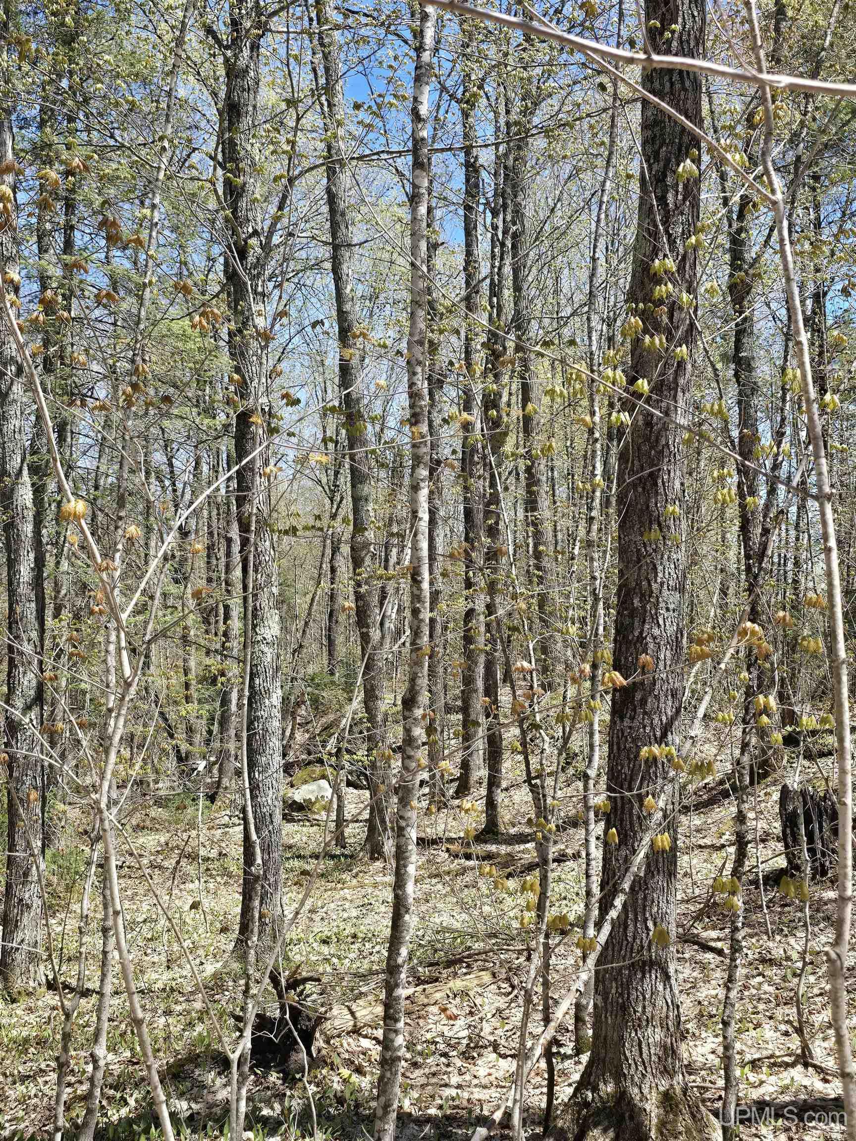 Tbd Murphy Road Property Photo 35