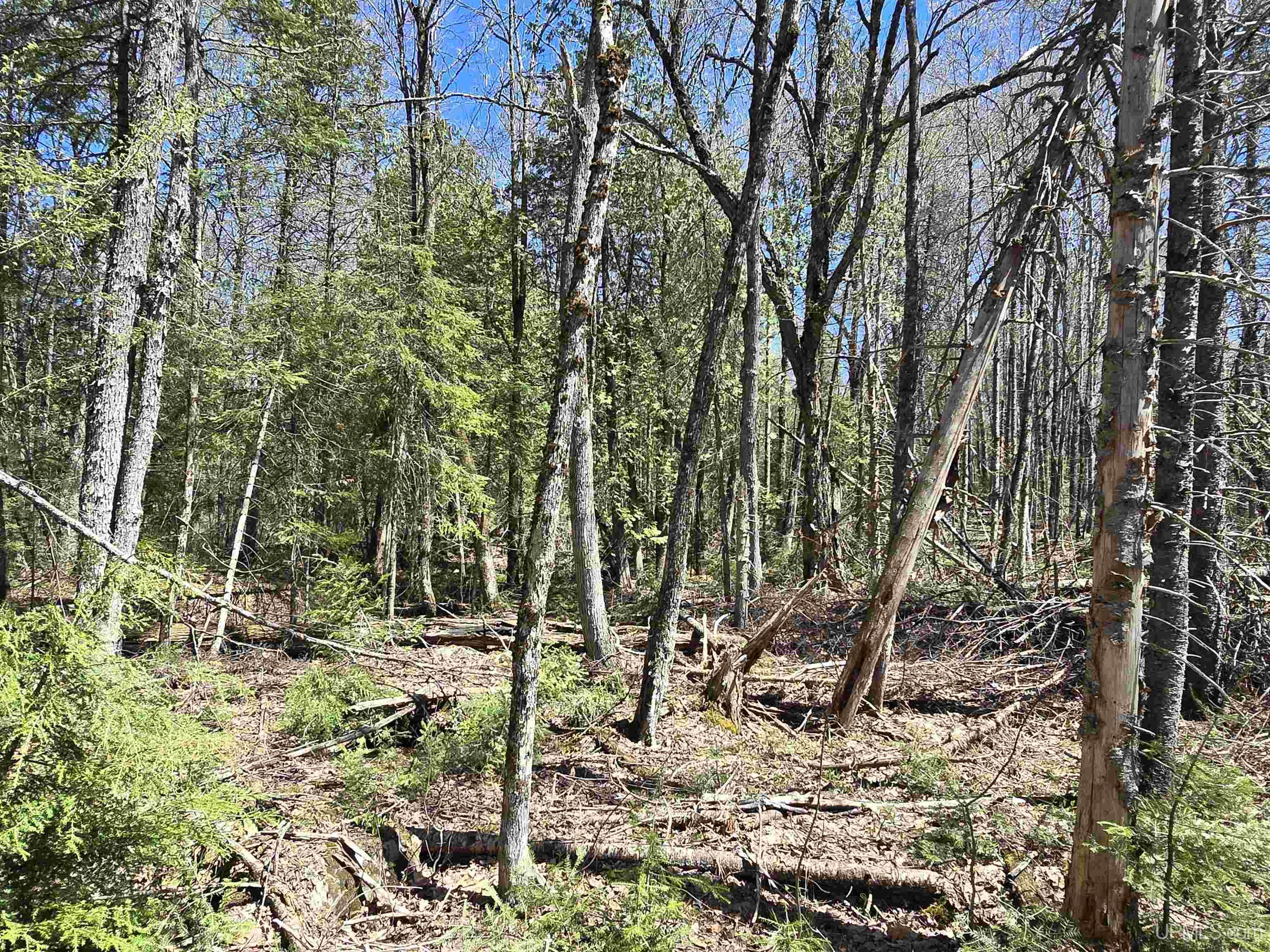 Tbd Murphy Road Property Photo 36