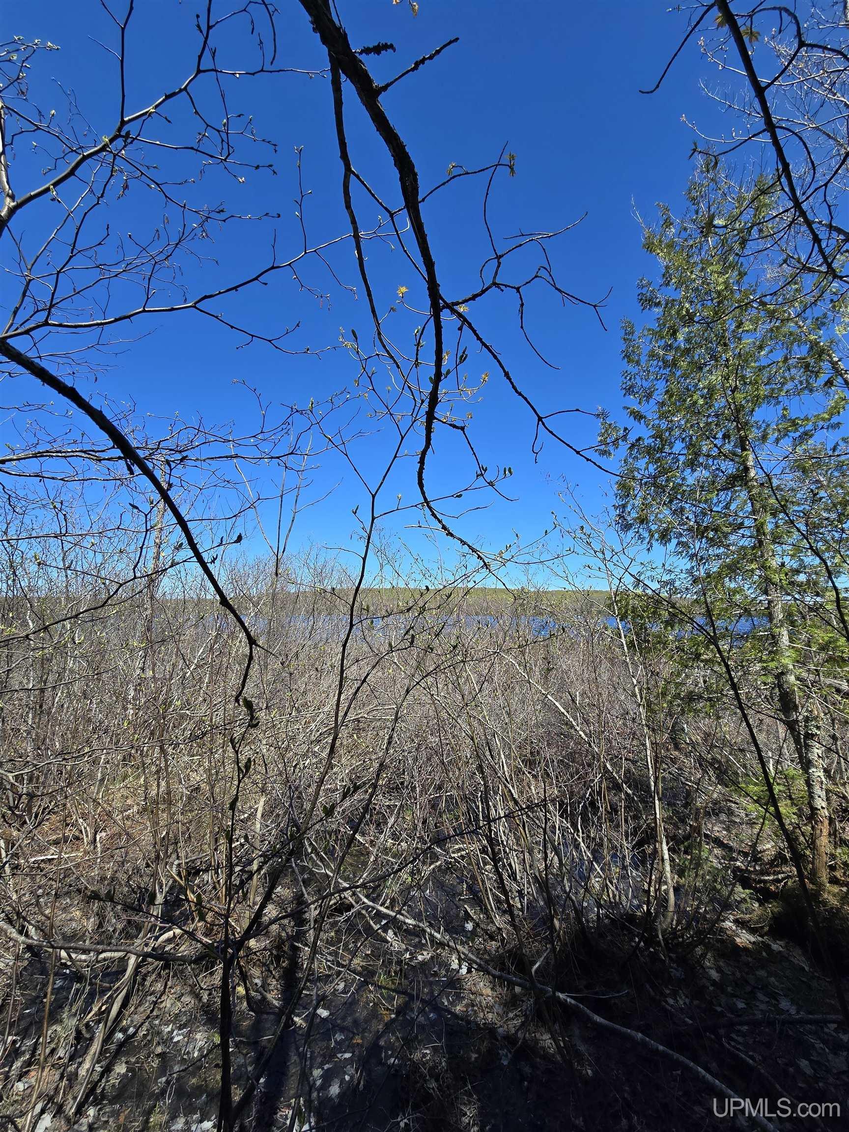 Tbd Murphy Road Property Photo 37