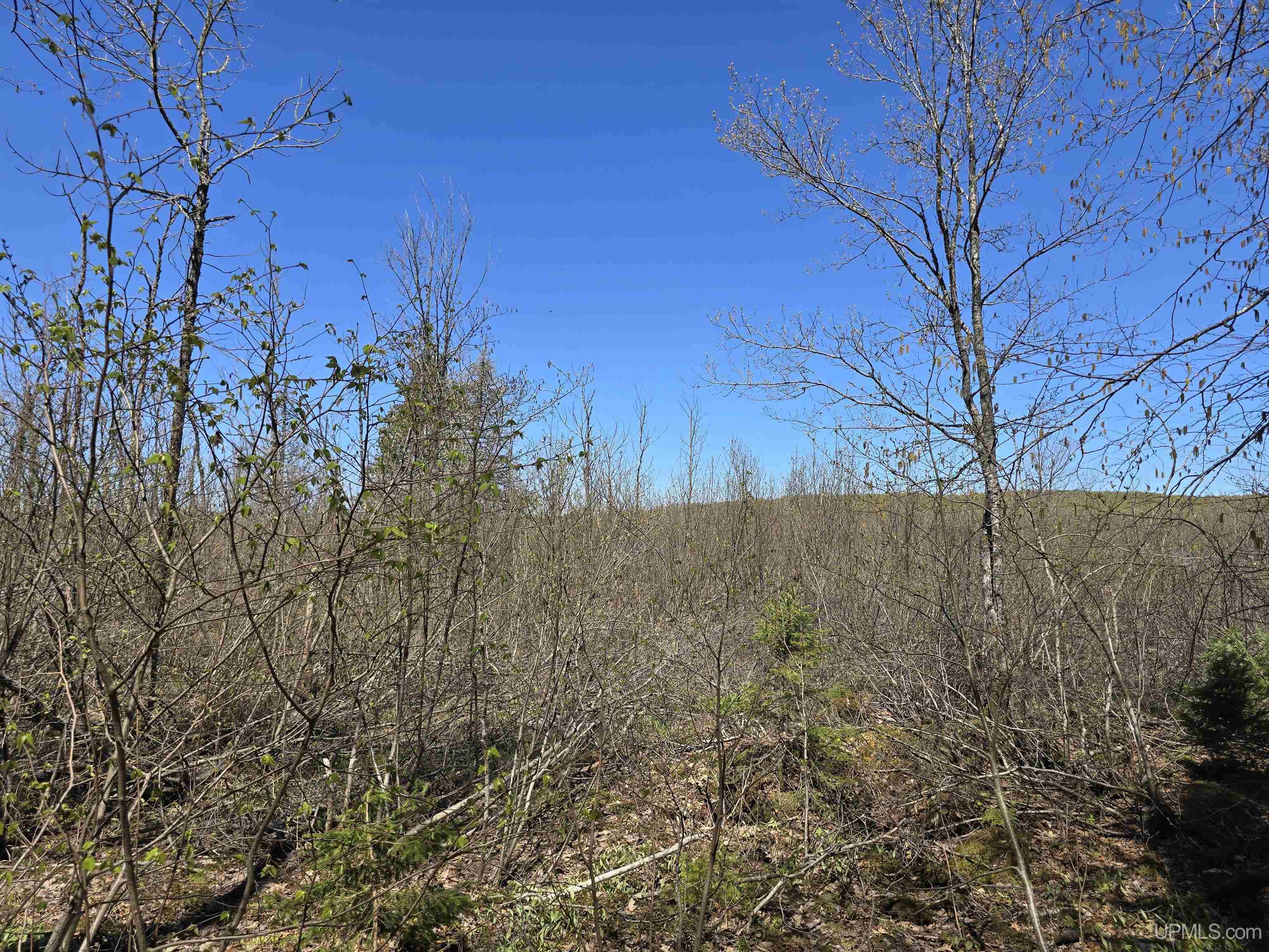 Tbd Murphy Road Property Photo 38