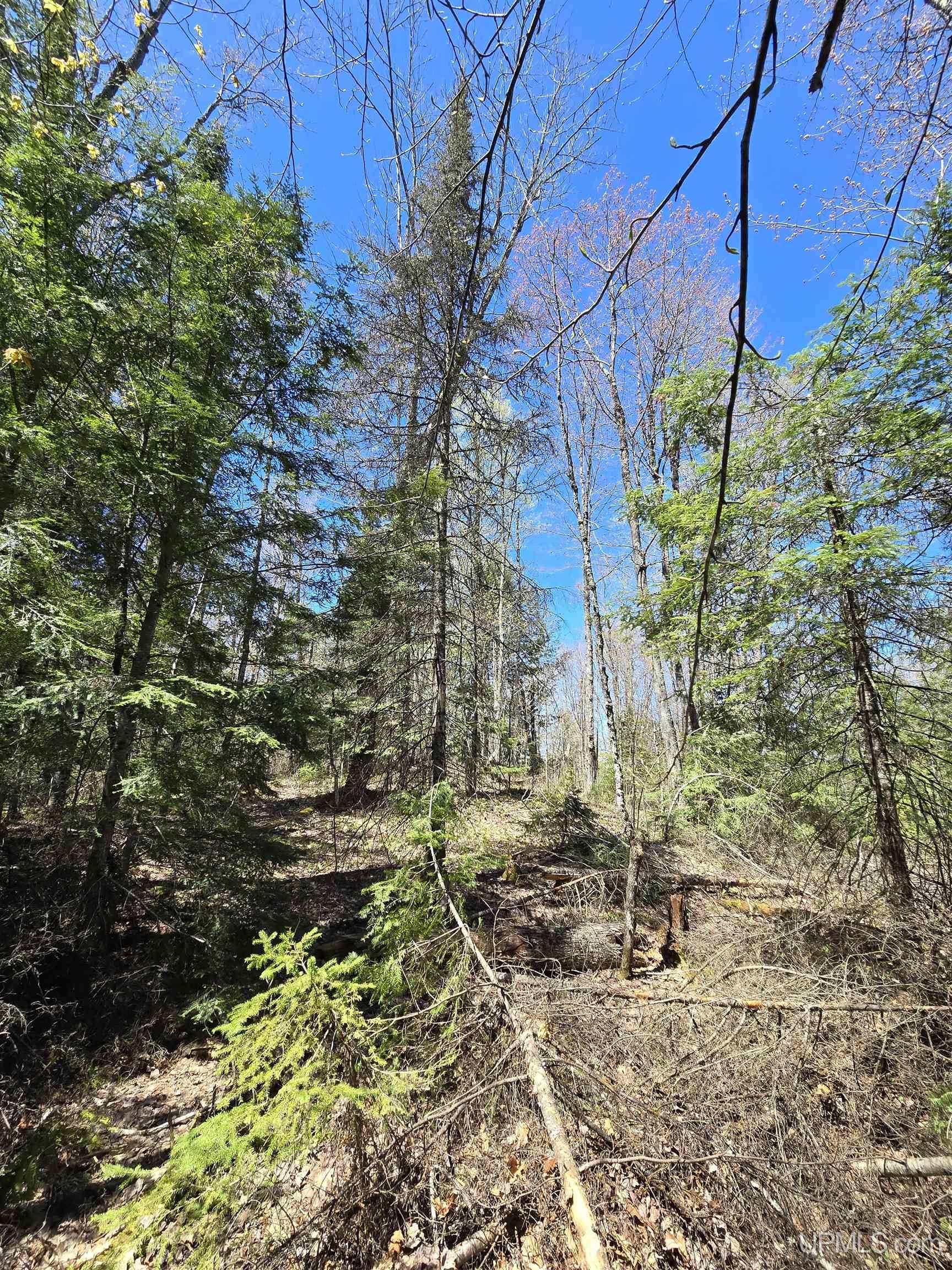 Tbd Murphy Road Property Photo 39