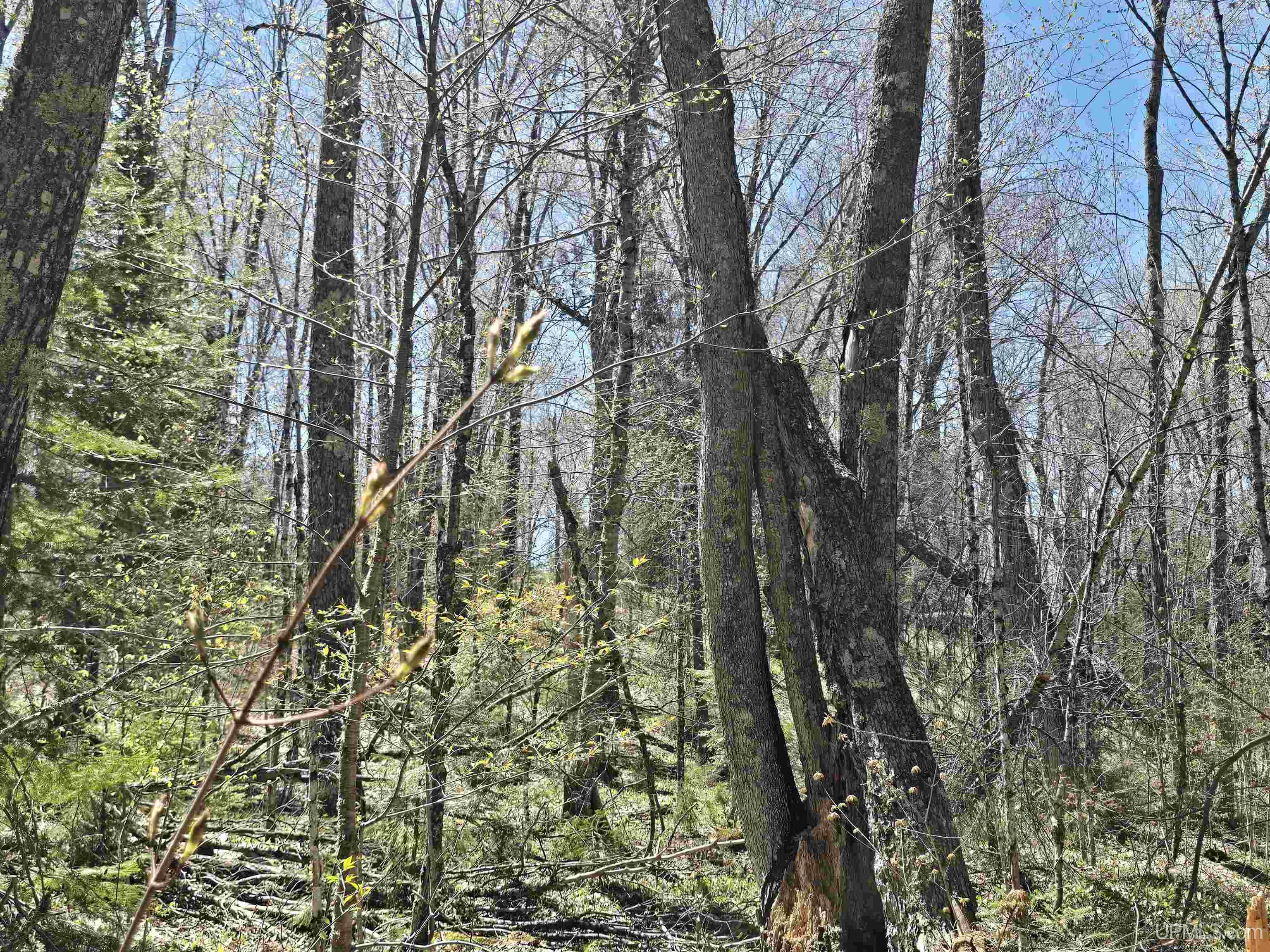 Tbd Murphy Road Property Photo 40