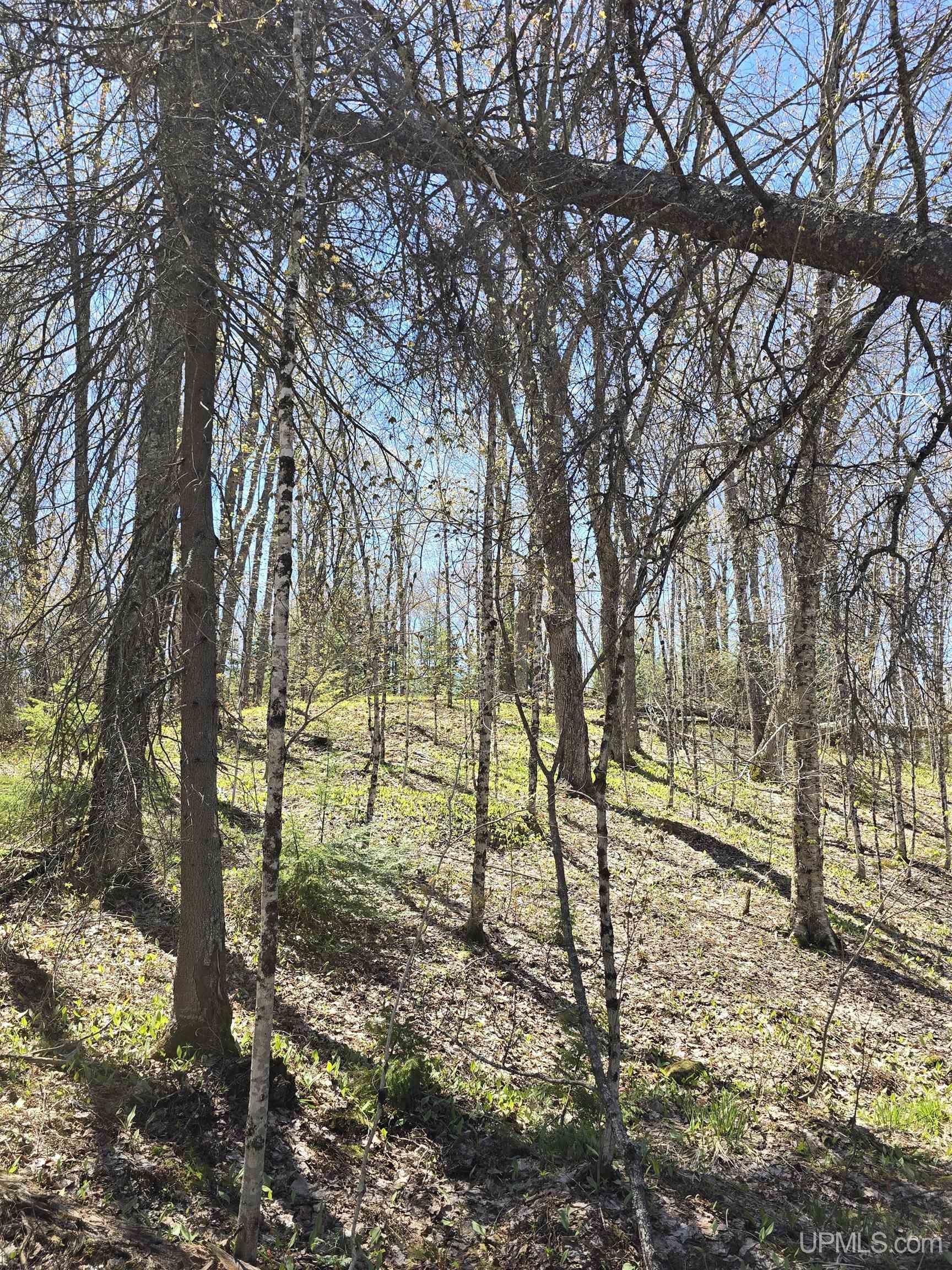Tbd Murphy Road Property Photo 41