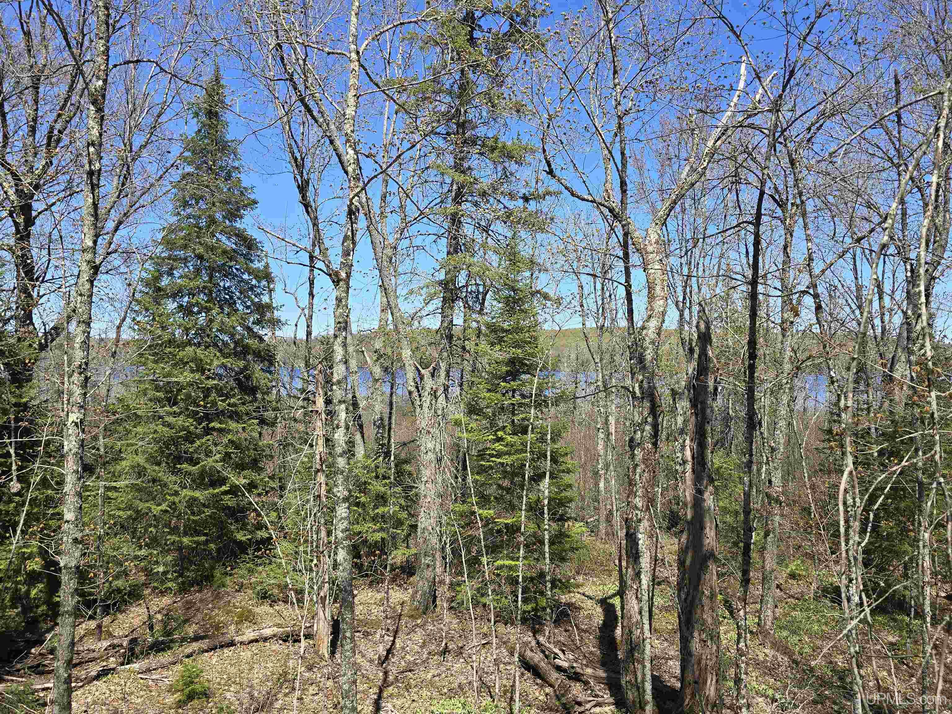 Tbd Murphy Road Property Photo 42