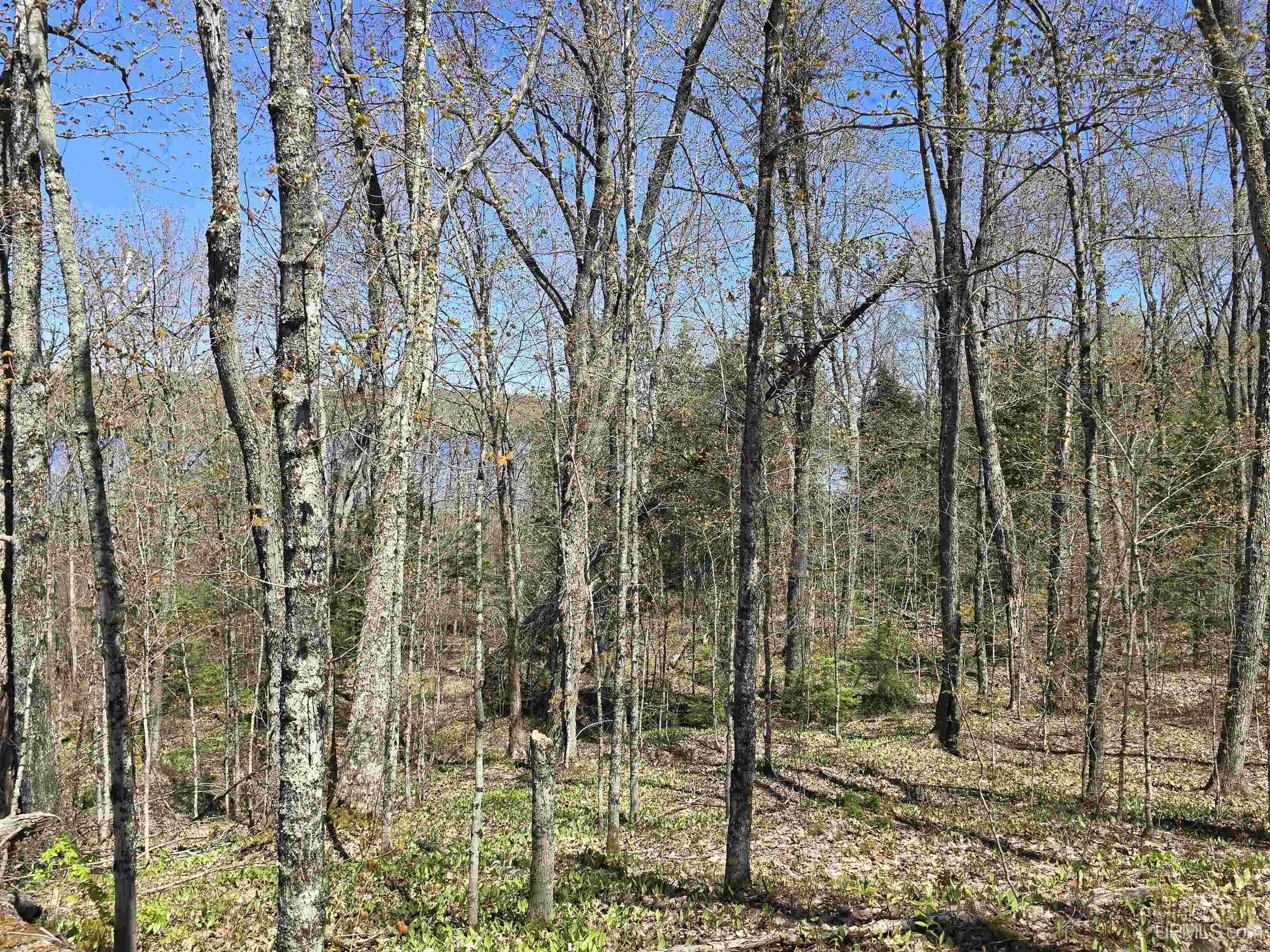 Tbd Murphy Road Property Photo 43