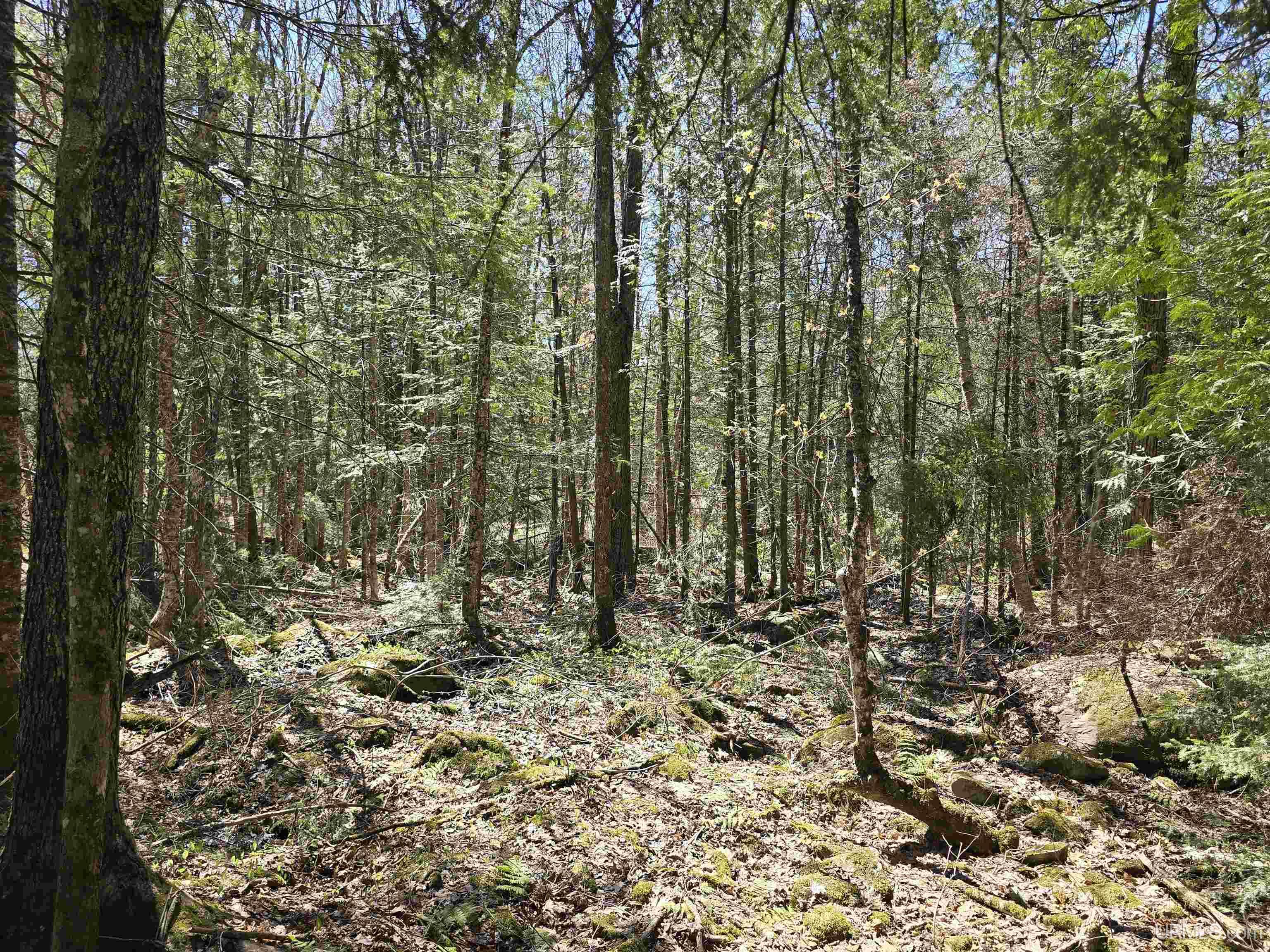 Tbd Murphy Road Property Photo 45