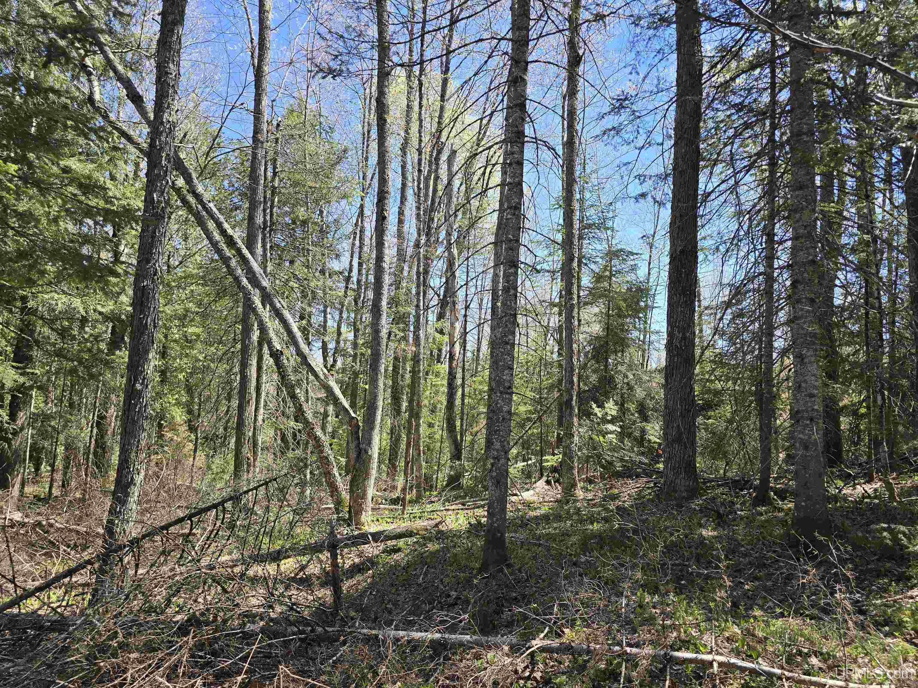 Tbd Murphy Road Property Photo 46