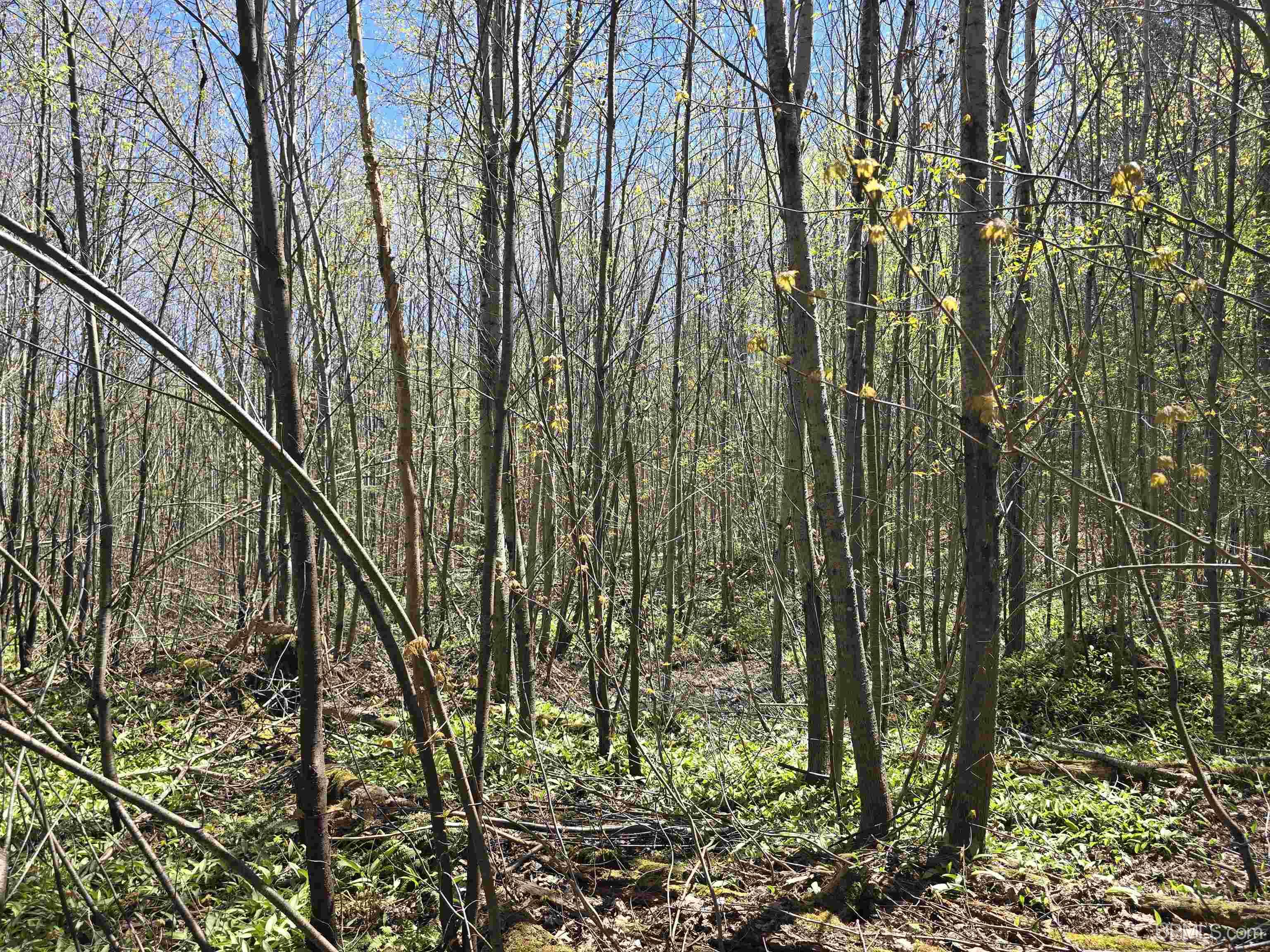 Tbd Murphy Road Property Photo 47