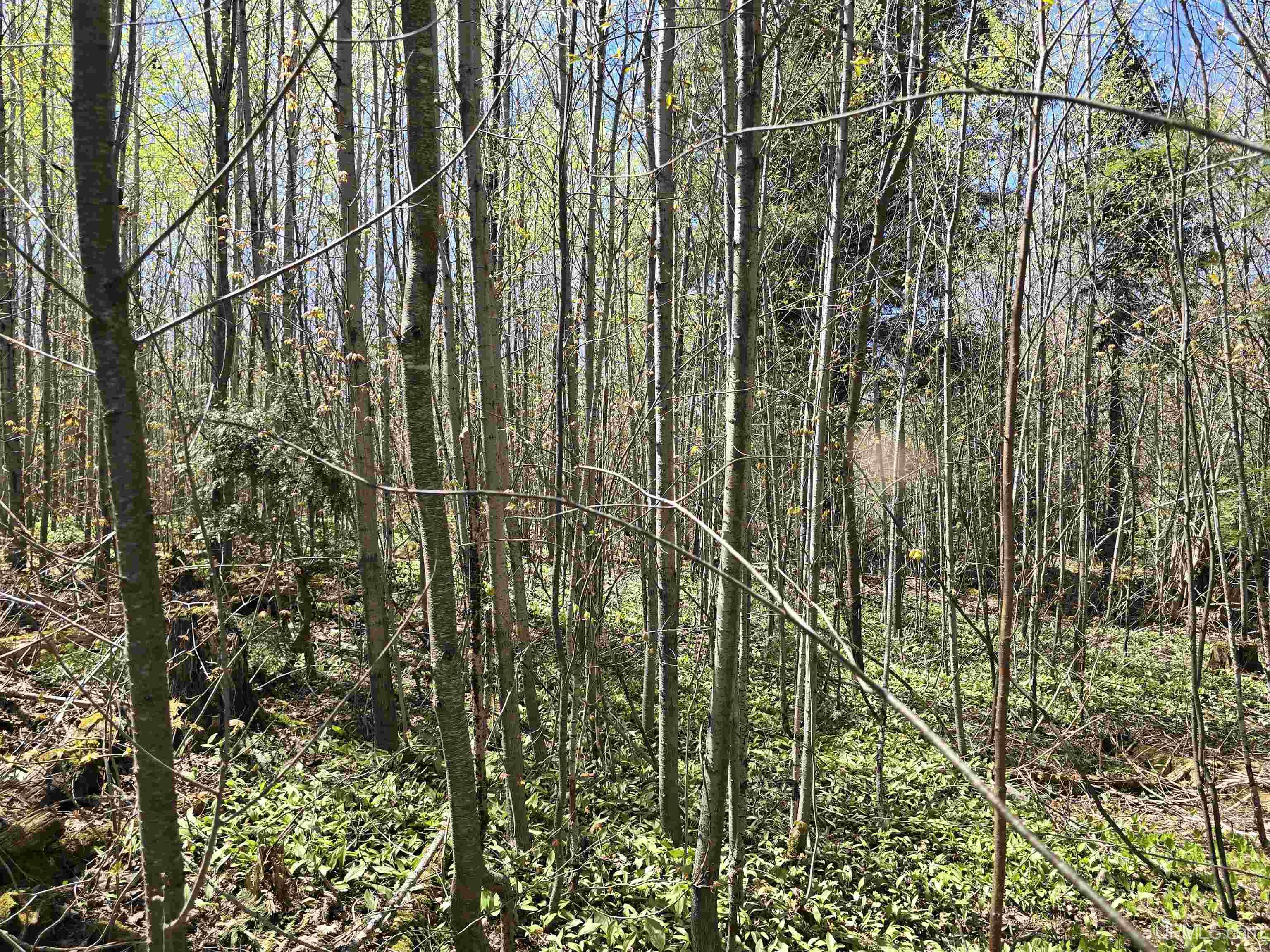 Tbd Murphy Road Property Photo 48