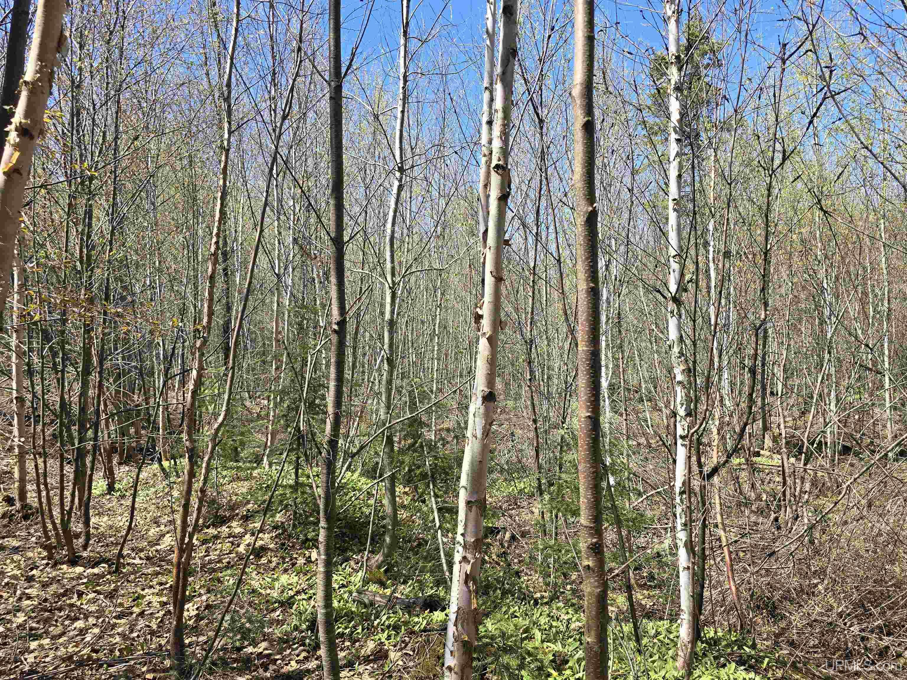 Tbd Murphy Road Property Photo 50