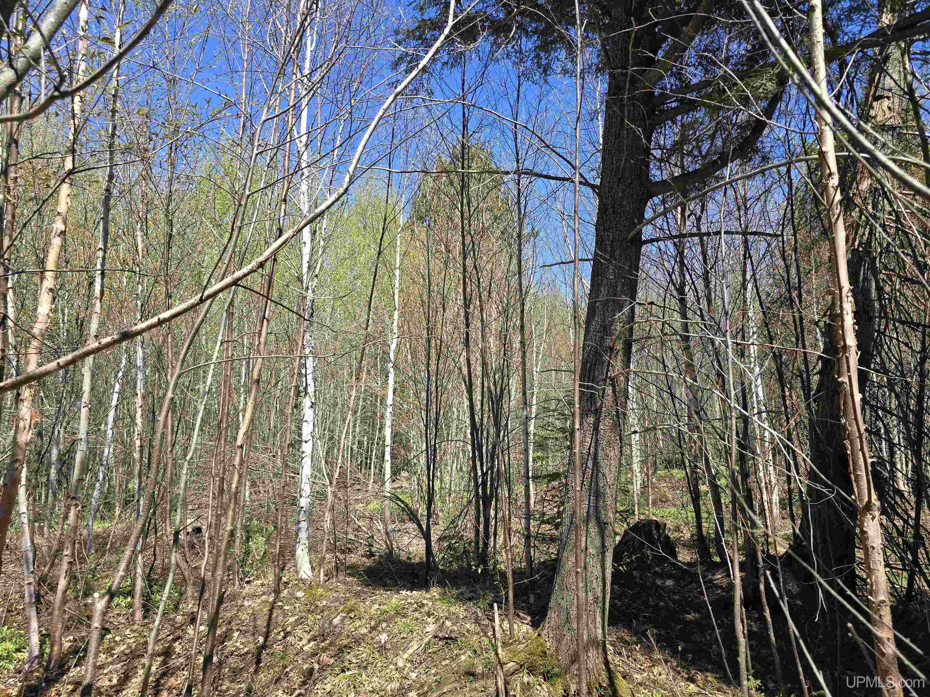 Tbd Murphy Road Property Photo 51