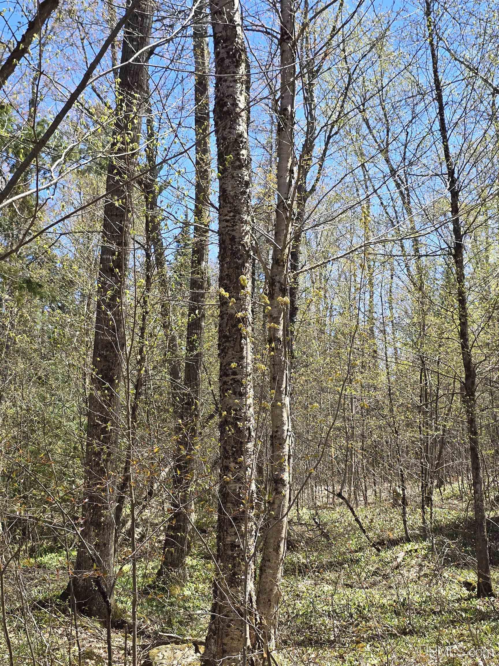 Tbd Murphy Road Property Photo 52