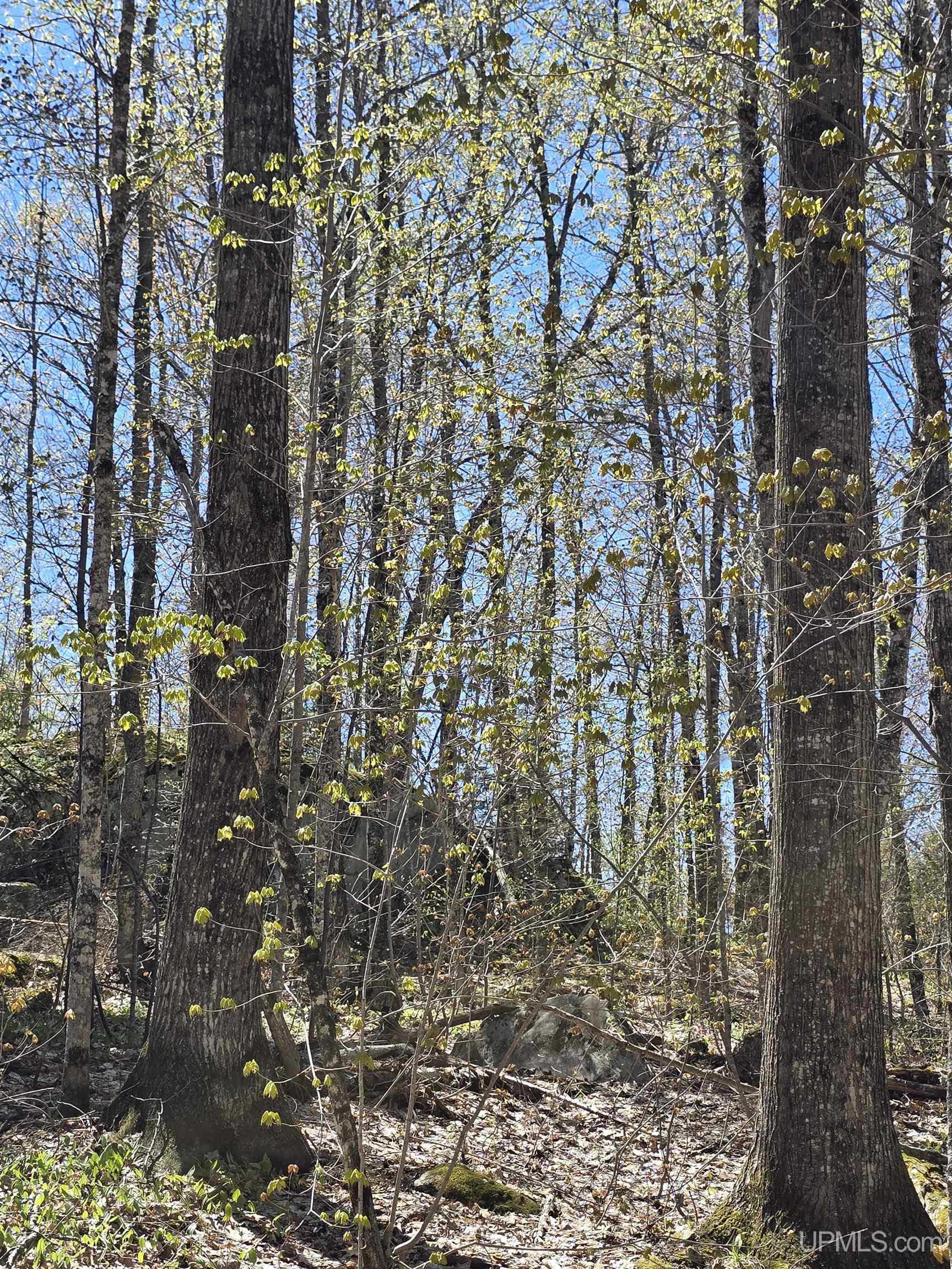 Tbd Murphy Road Property Photo 53