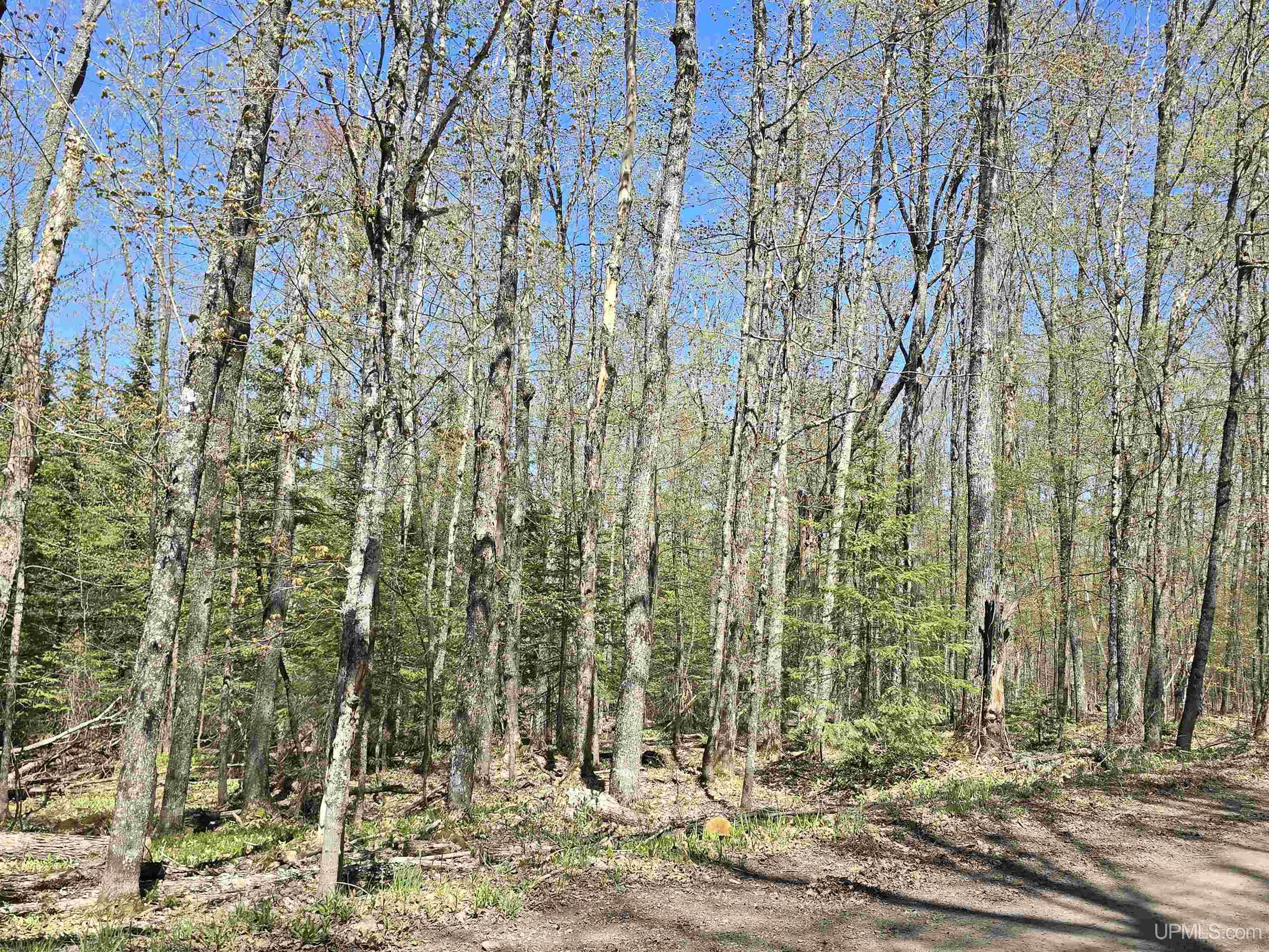 Tbd Murphy Road Property Photo 54
