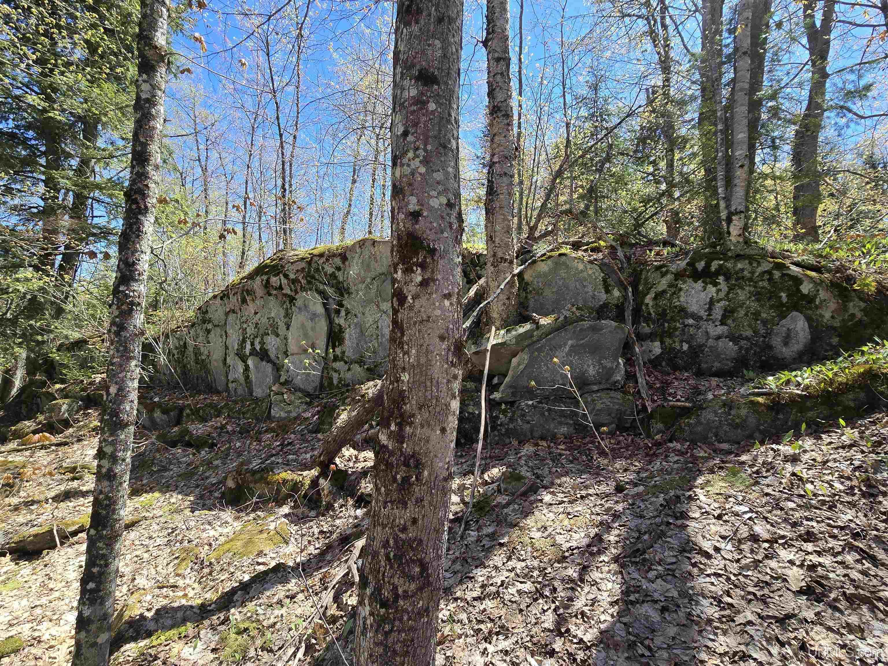 Tbd Murphy Road Property Photo 56