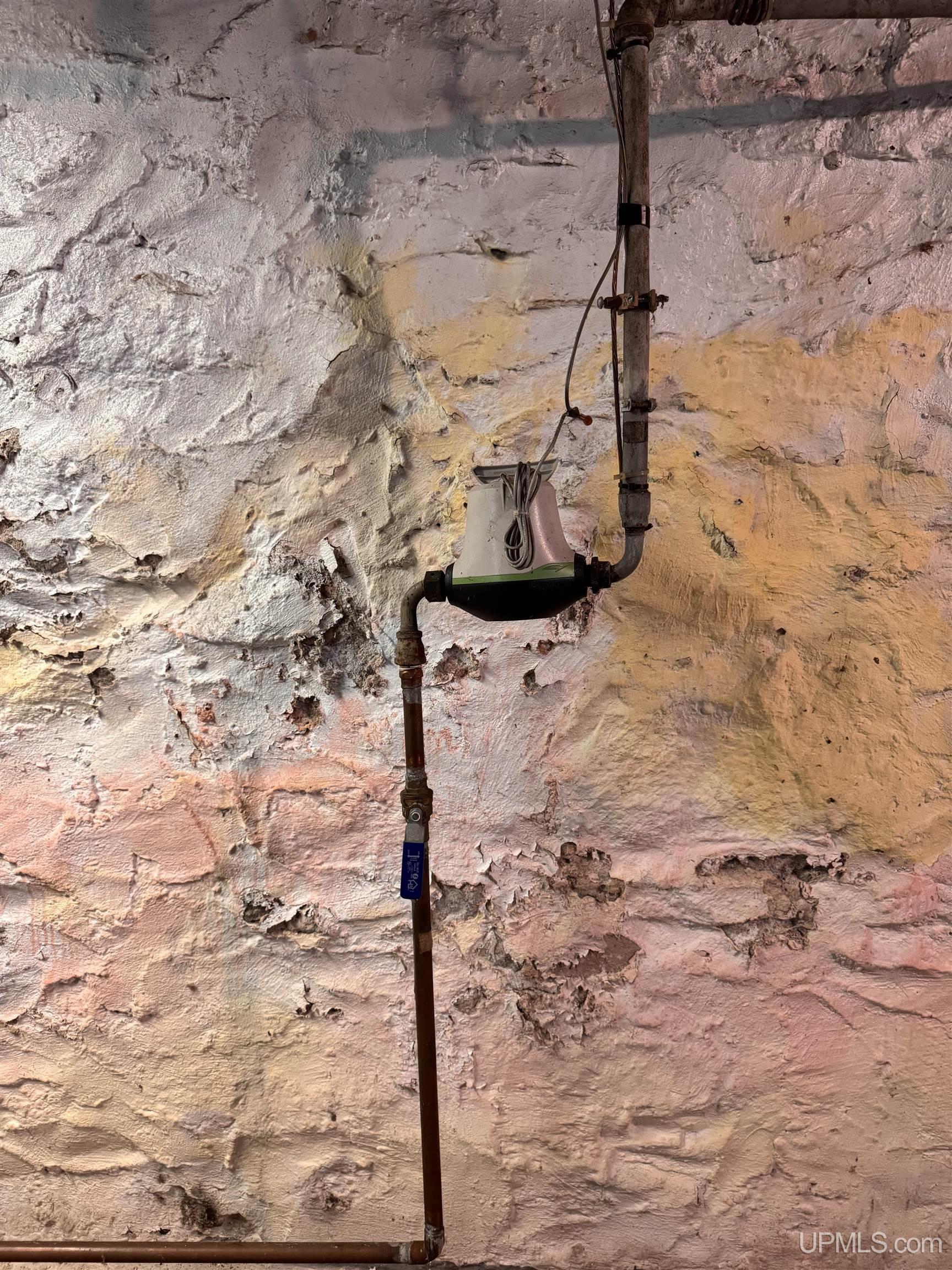 217 Kennedy Street Property Photo 47