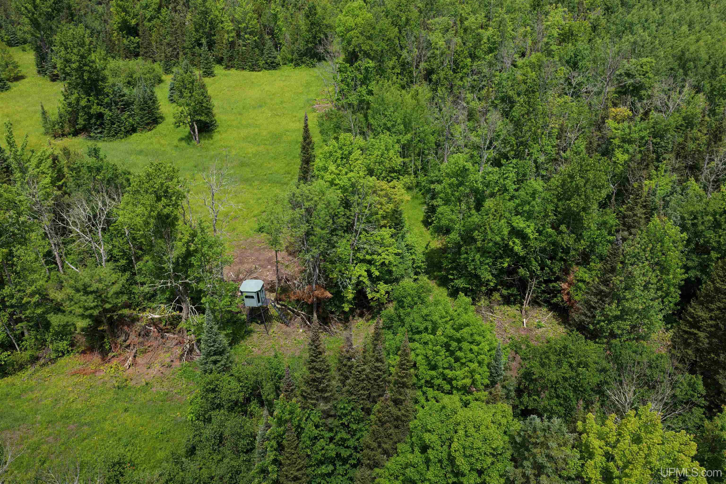 18386 N 45 Highway Property Photo 9