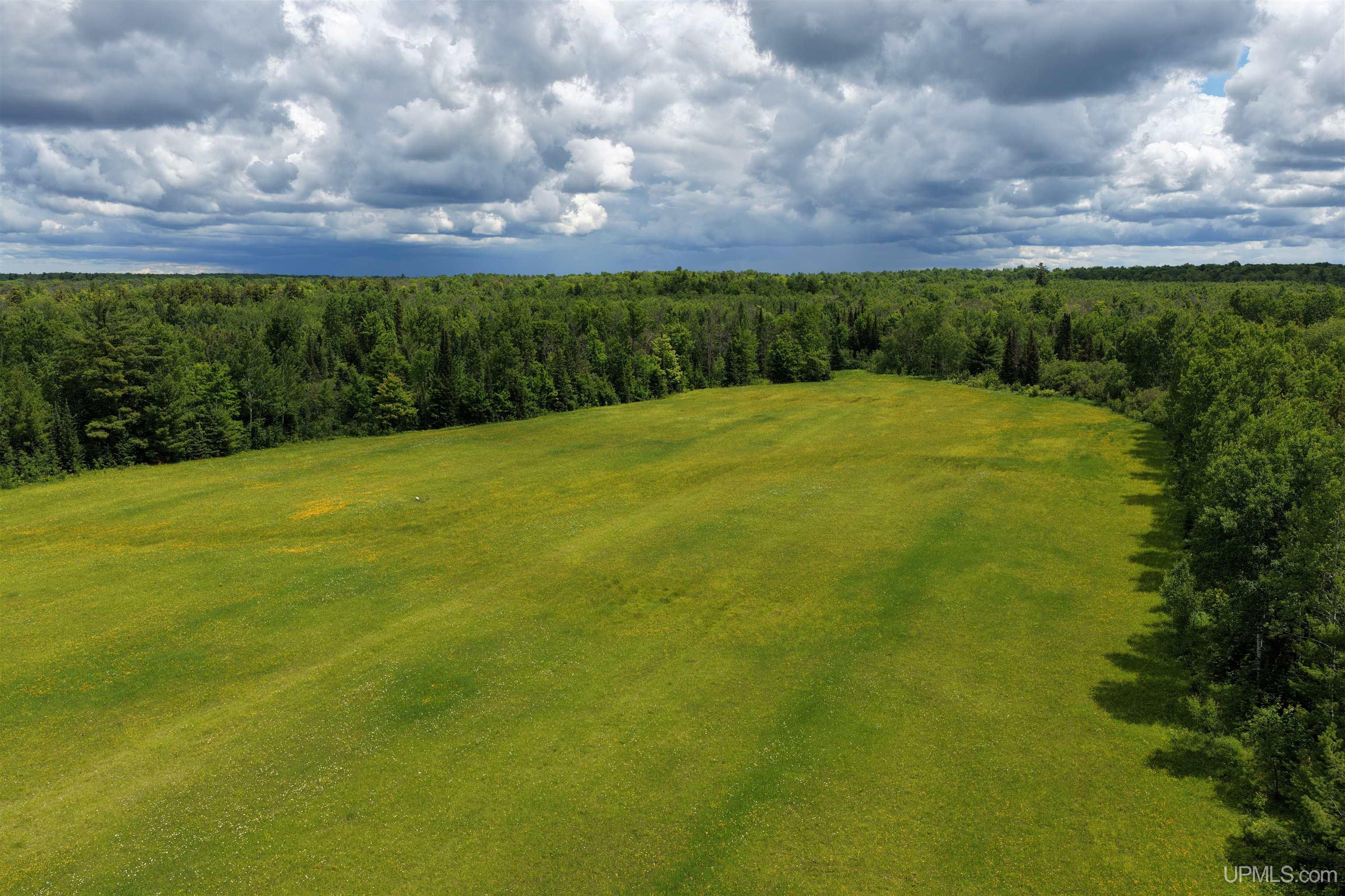 18386 N 45 Highway Property Photo 15