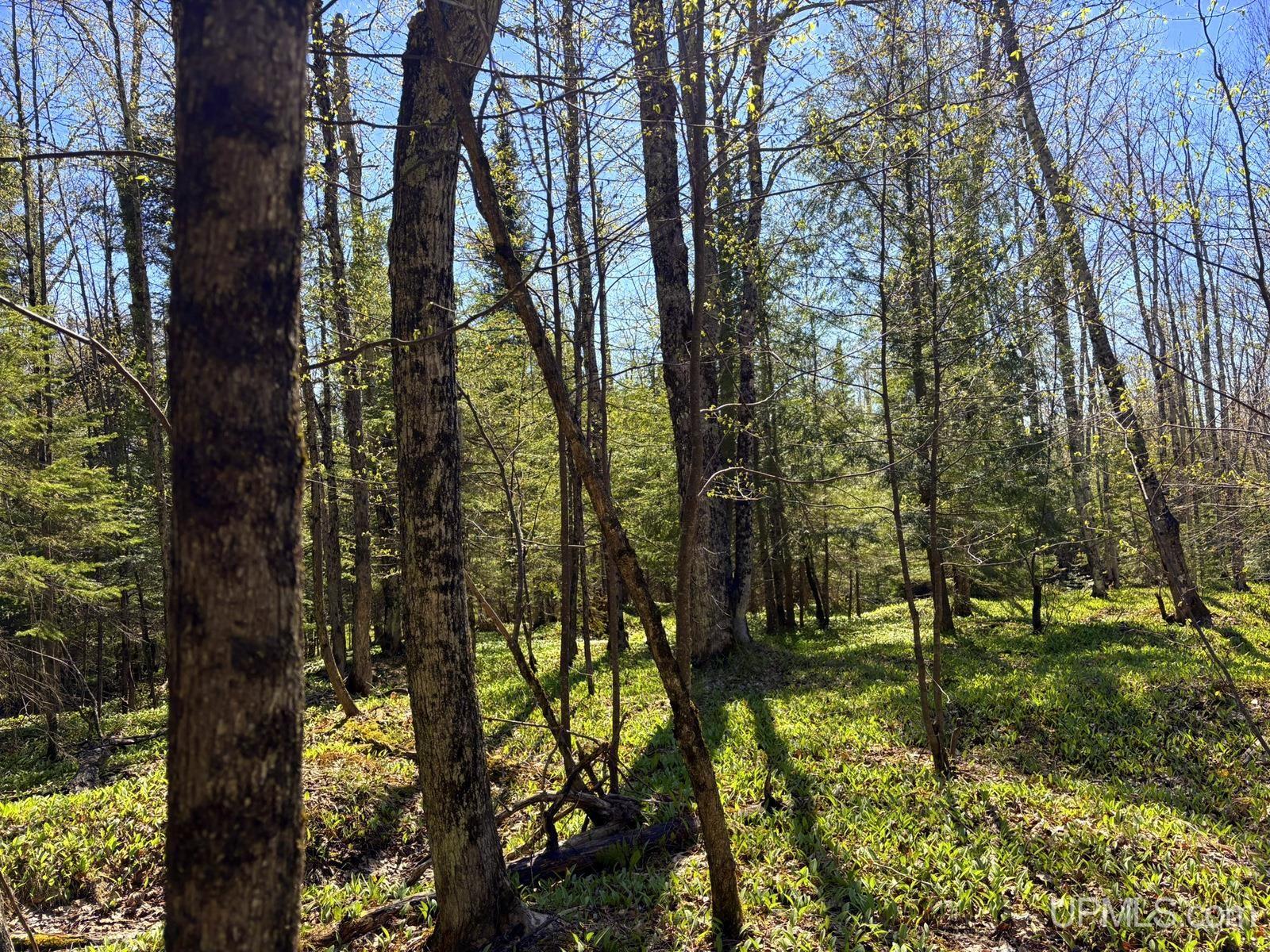 Tbd Townline Road Property Photo 1