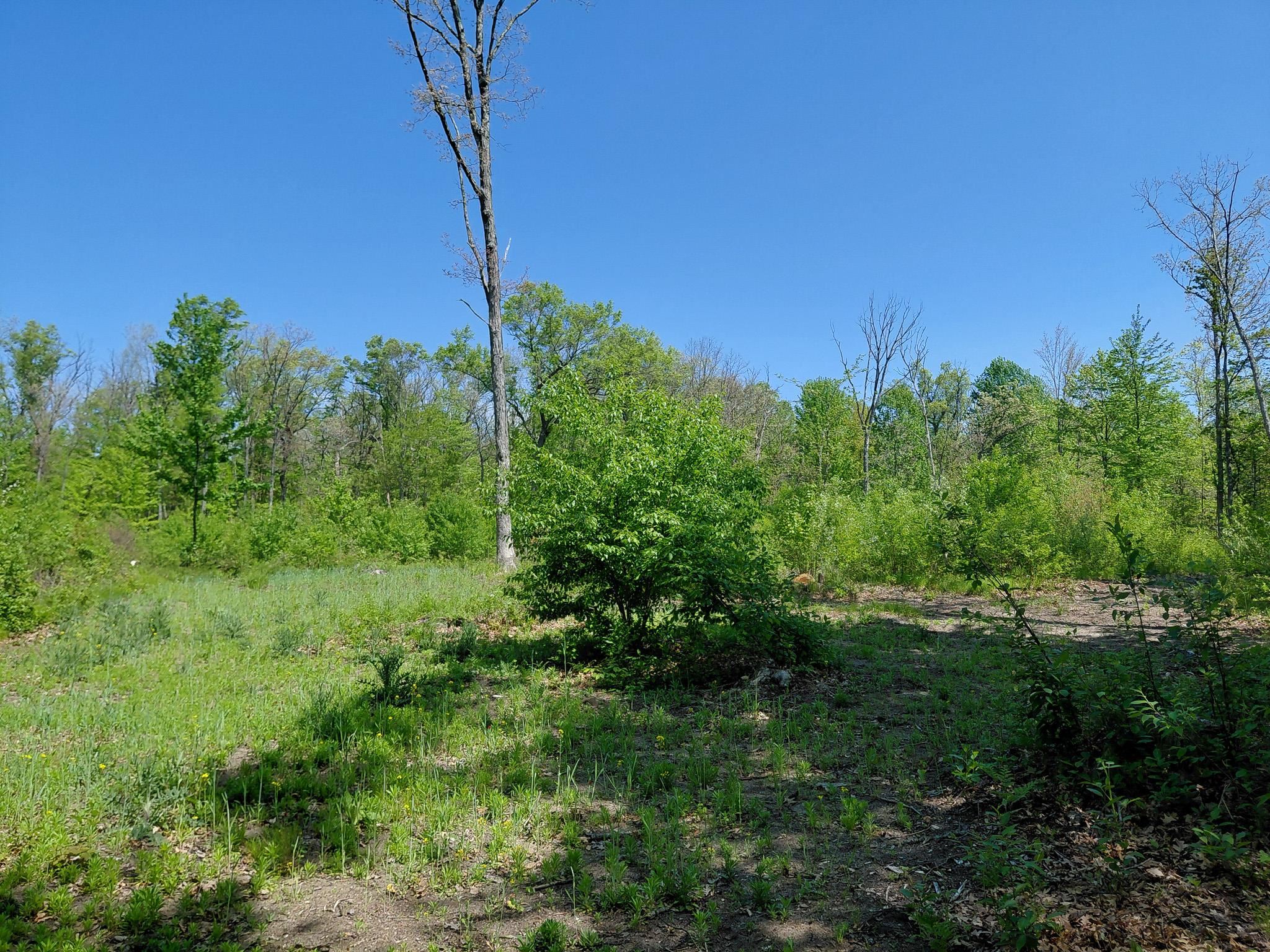 3751 E Townline Lake Road Property Photo 62