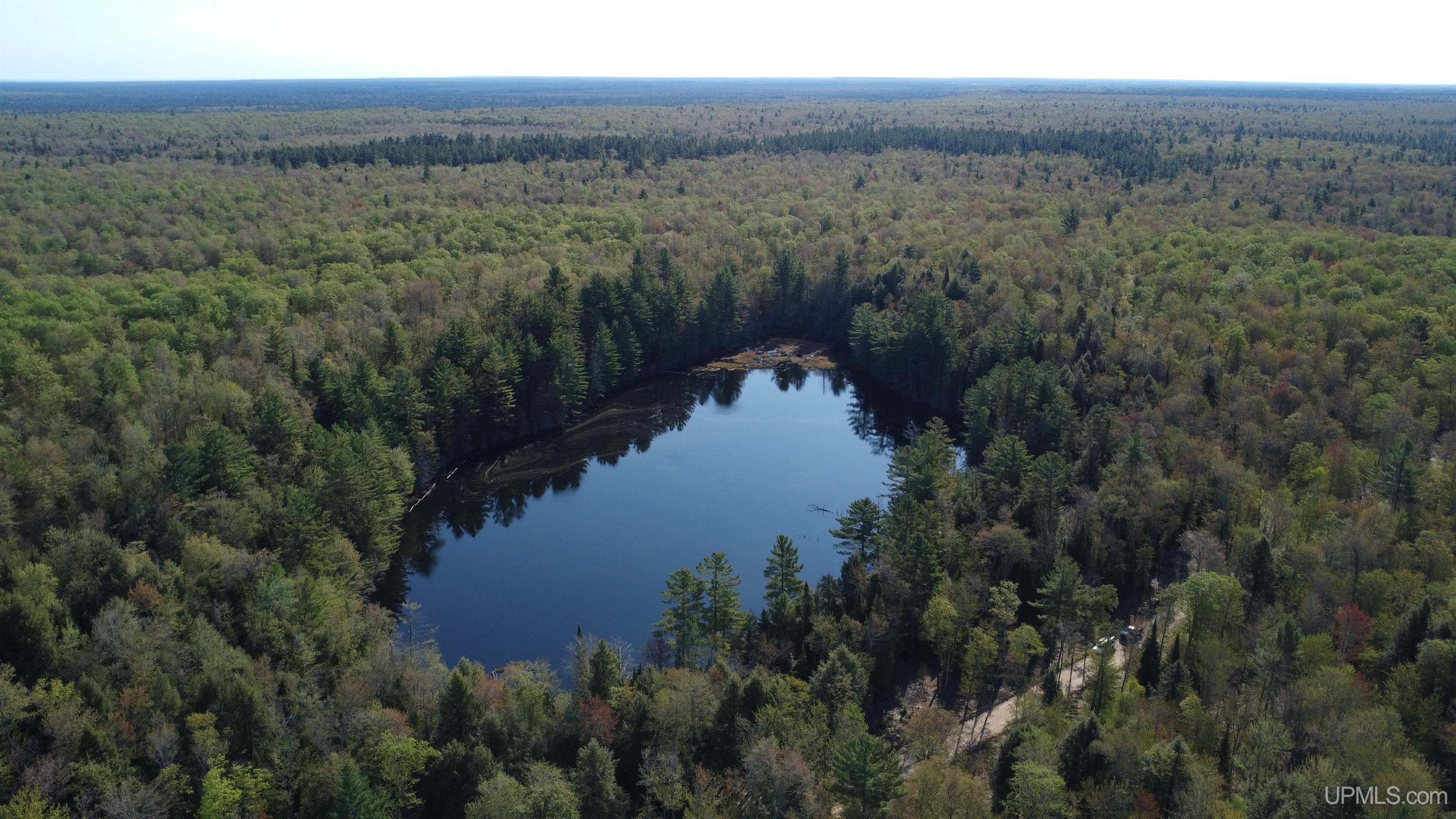 On Wolf Lake Road Property Photo 1