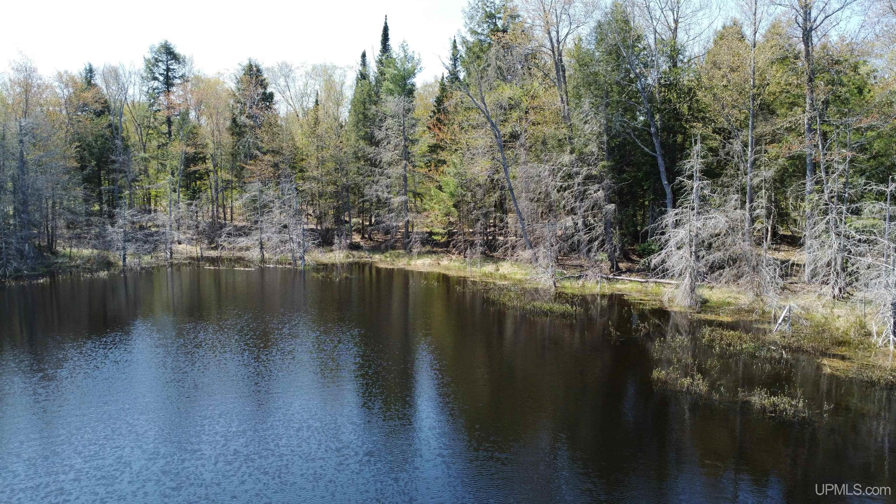 Off Adams Trail Road Property Photo 13