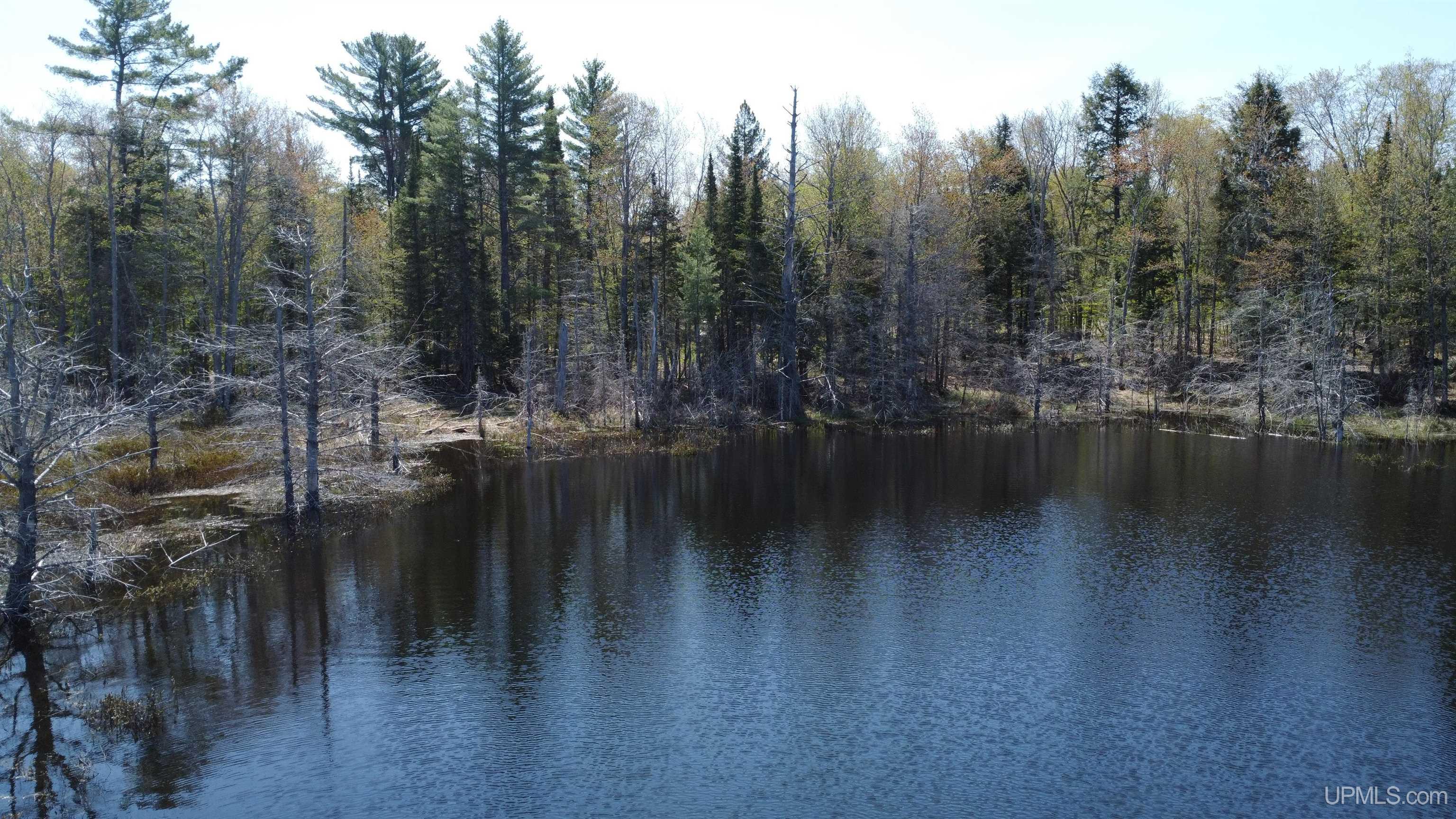 Off Adams Trail Road Property Photo 15