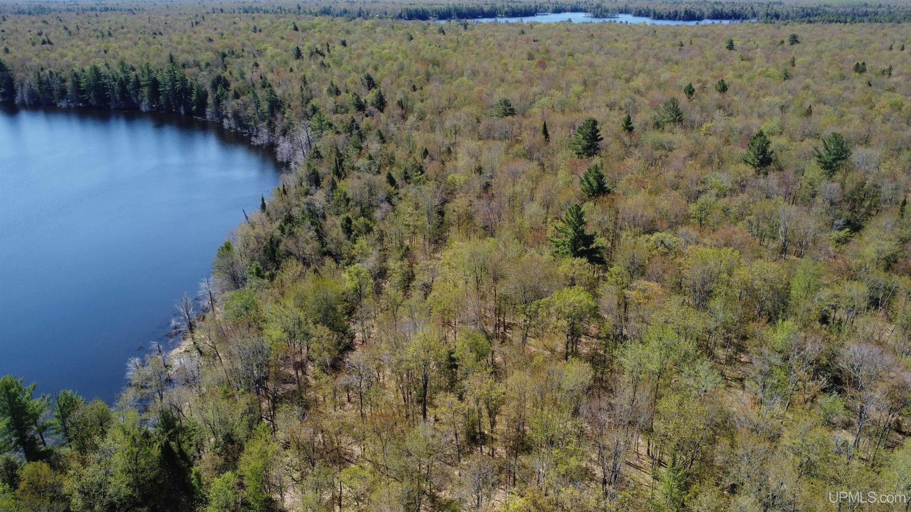Off Adams Trail Road Property Photo 20