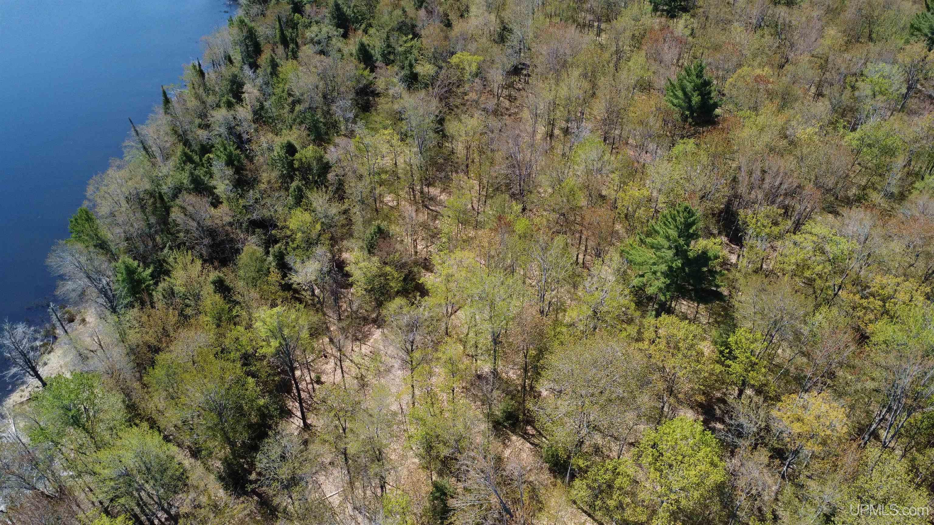 Off Adams Trail Road Property Photo 22