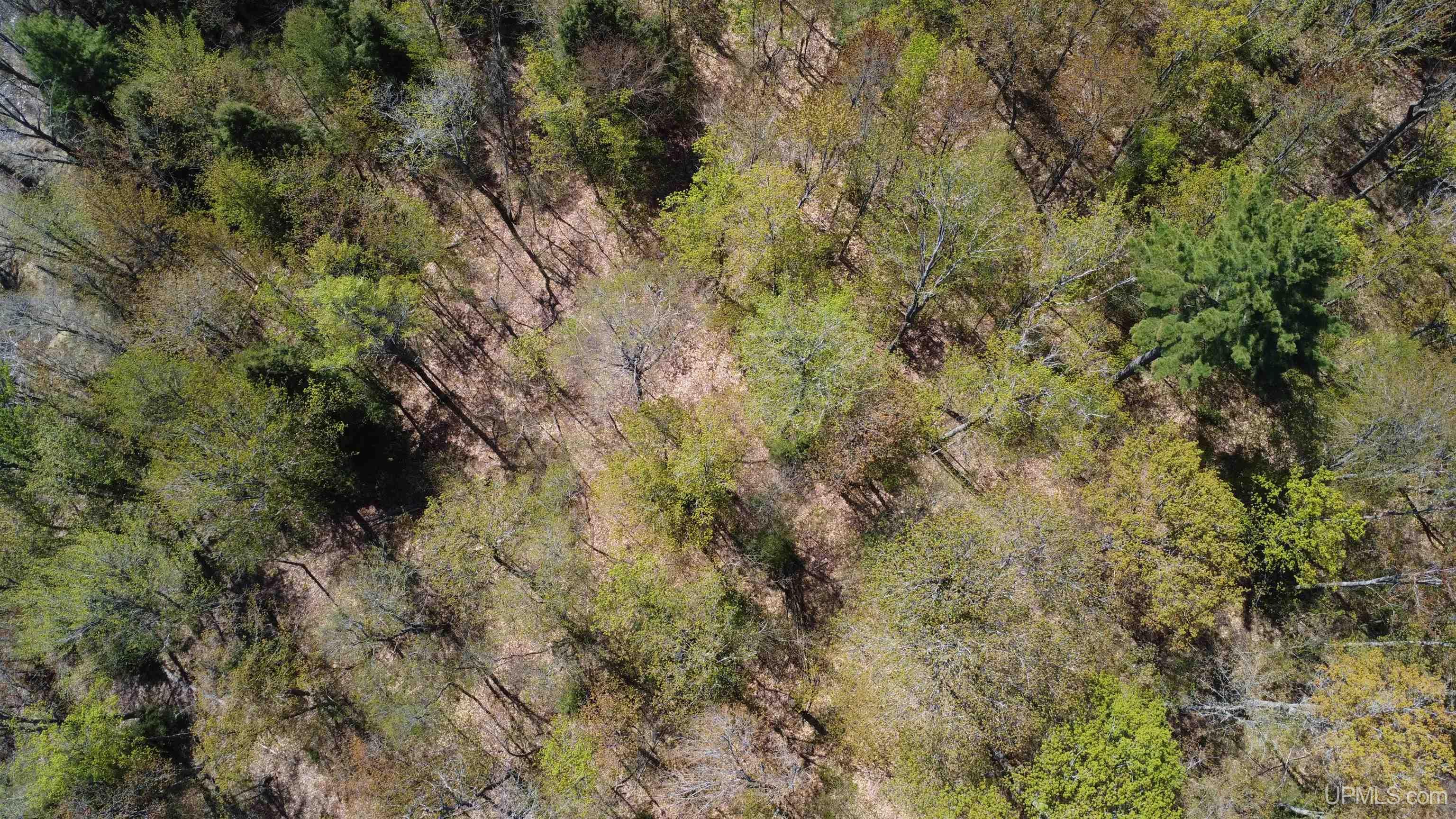 Off Adams Trail Road Property Photo 23