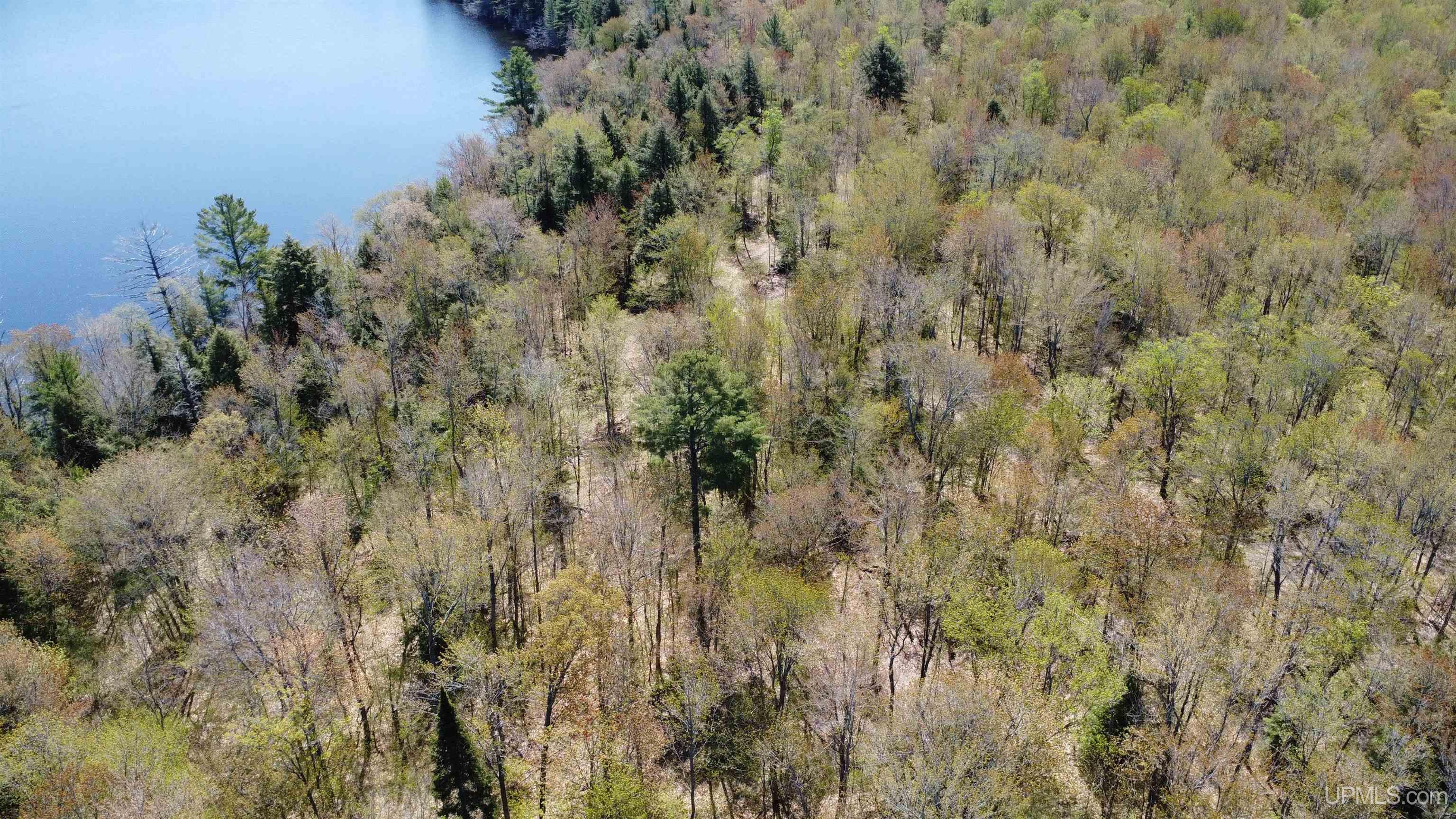 Off Adams Trail Road Property Photo 25