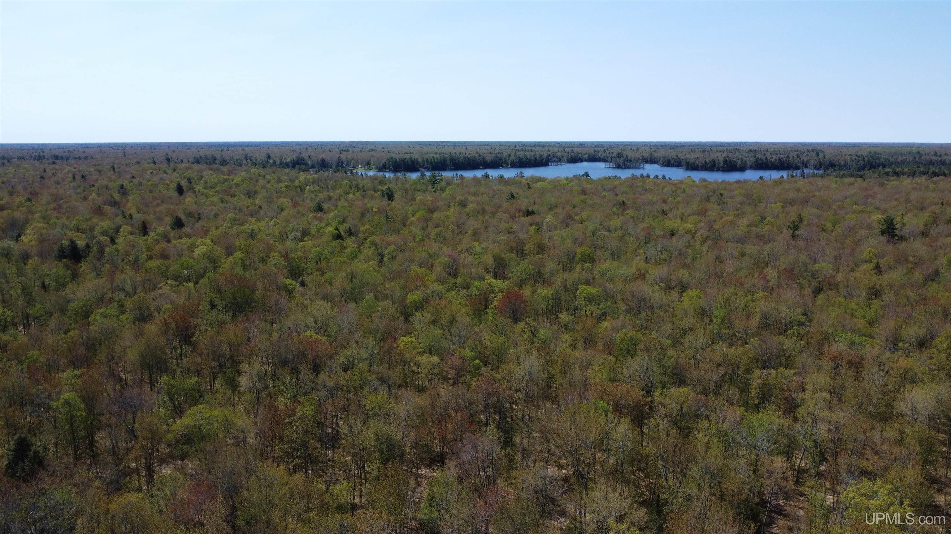 Off Adams Trail Road Property Photo 26