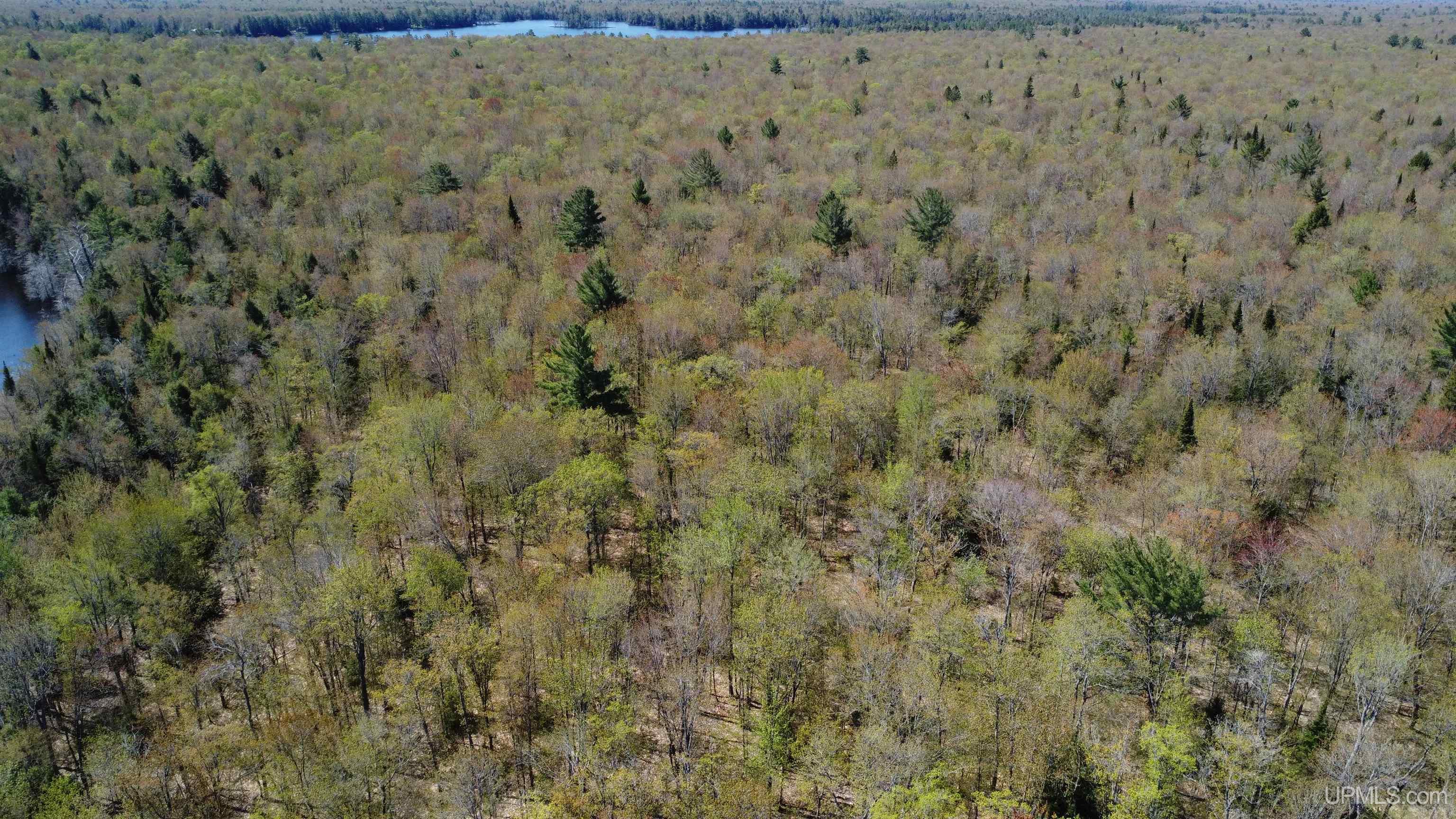 Off Adams Trail Road Property Photo 35