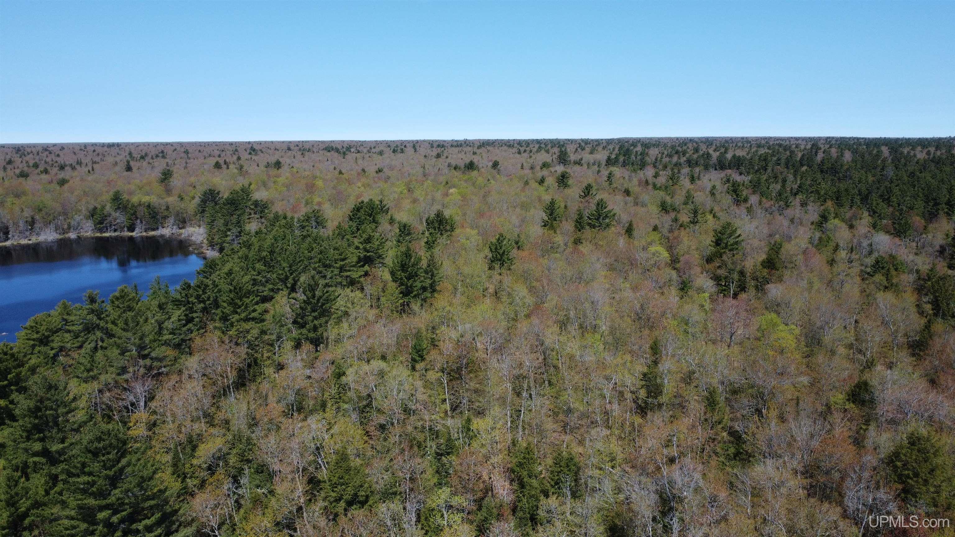 Off Adams Trail Road Property Photo 36