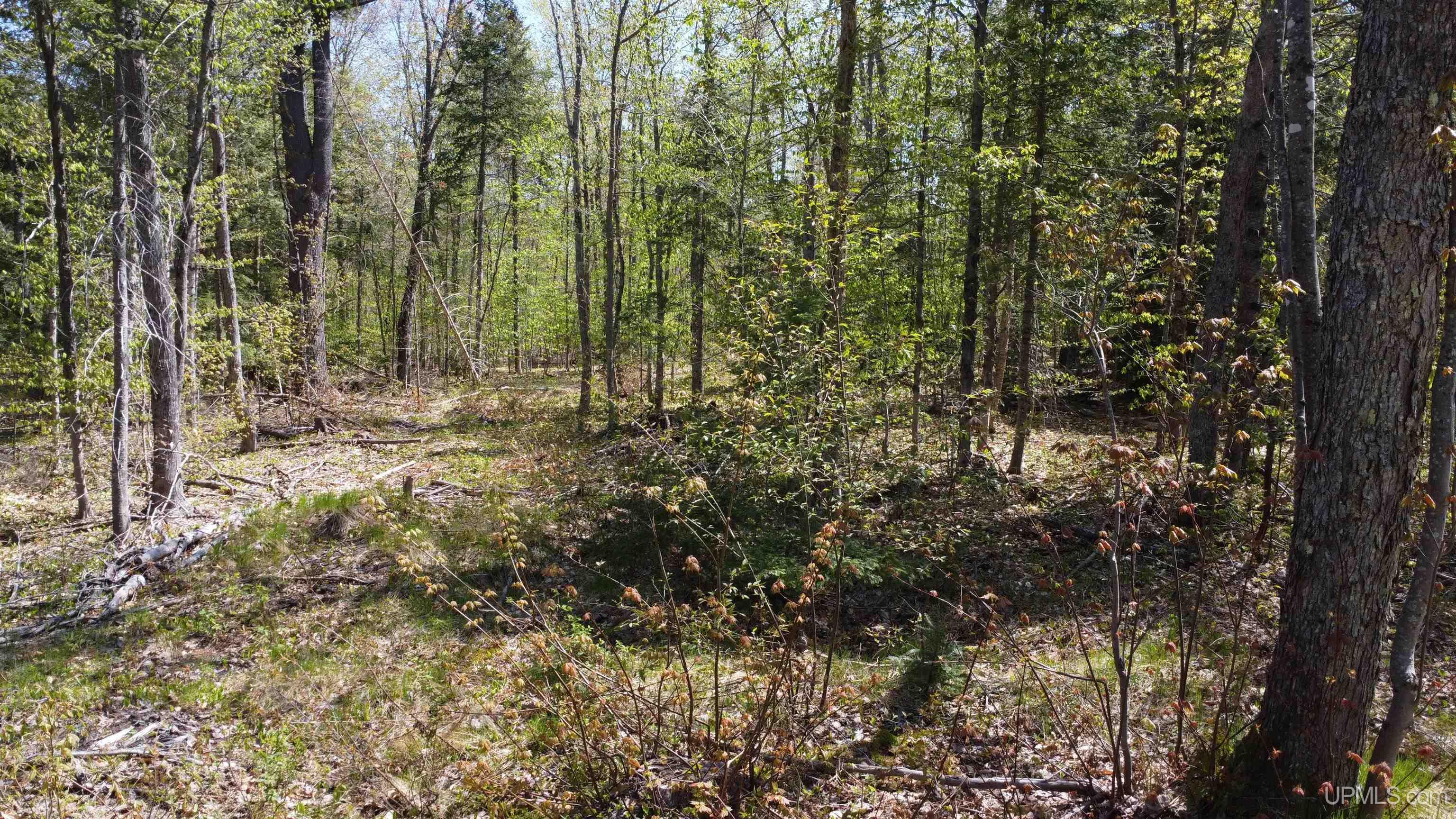 Off Adams Trail Road Property Photo 37