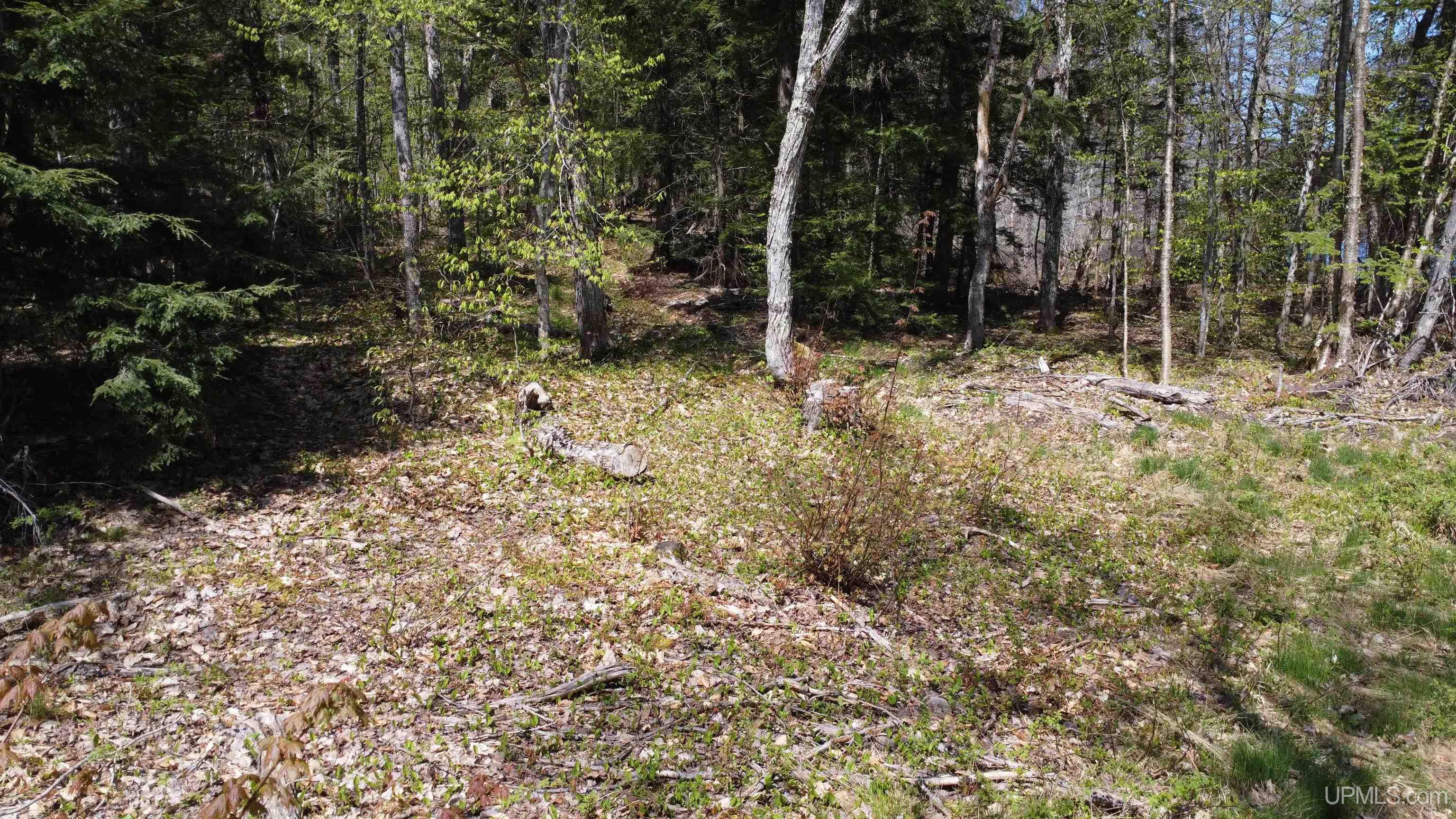 Off Adams Trail Road Property Photo 38
