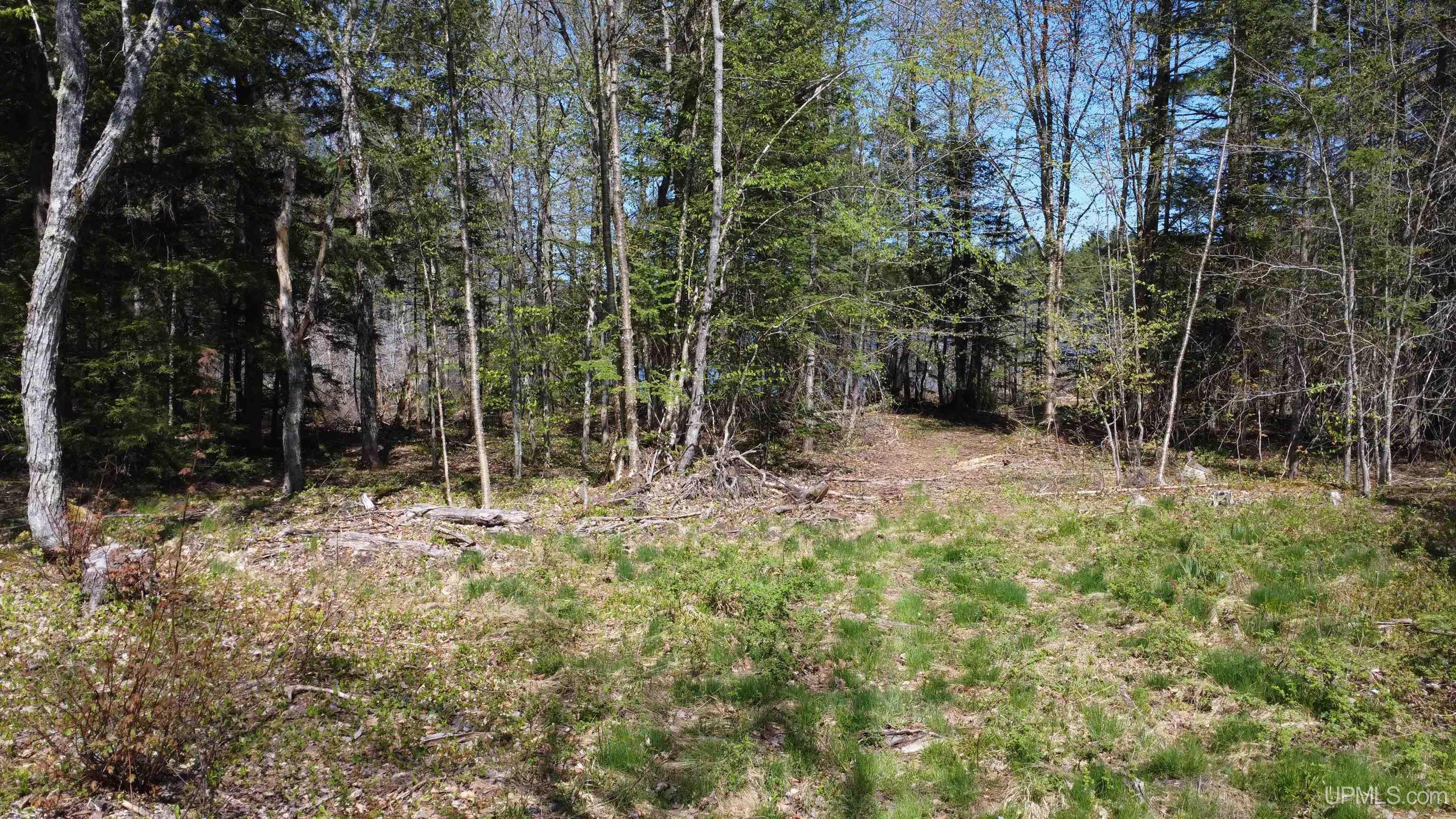 Off Adams Trail Road Property Photo 39