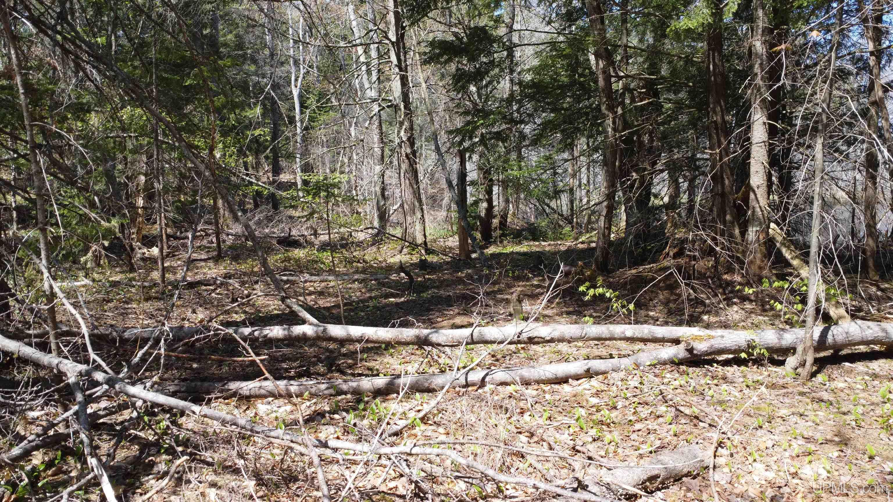 Off Adams Trail Road Property Photo 40