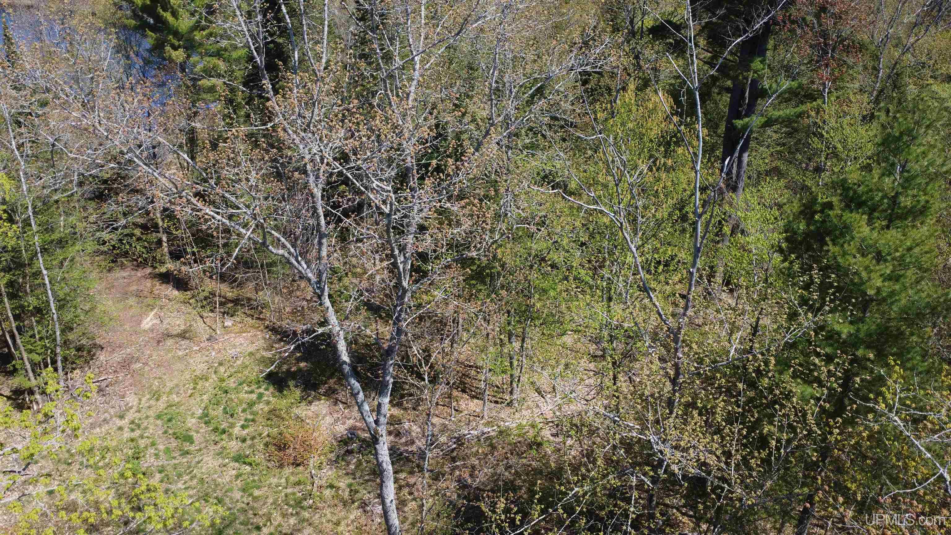 Off Adams Trail Road Property Photo 46