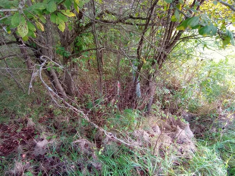 Lots 60-61 Huntington Circle Property Photo 7