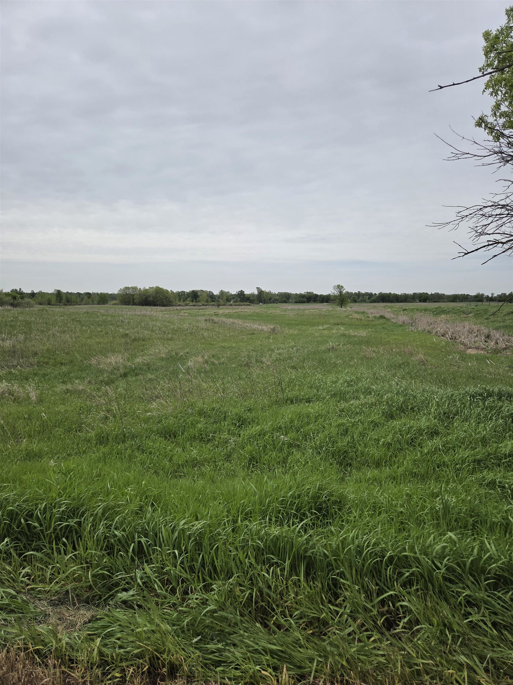 V/l E Stevenson Lake Road Property Photo 3