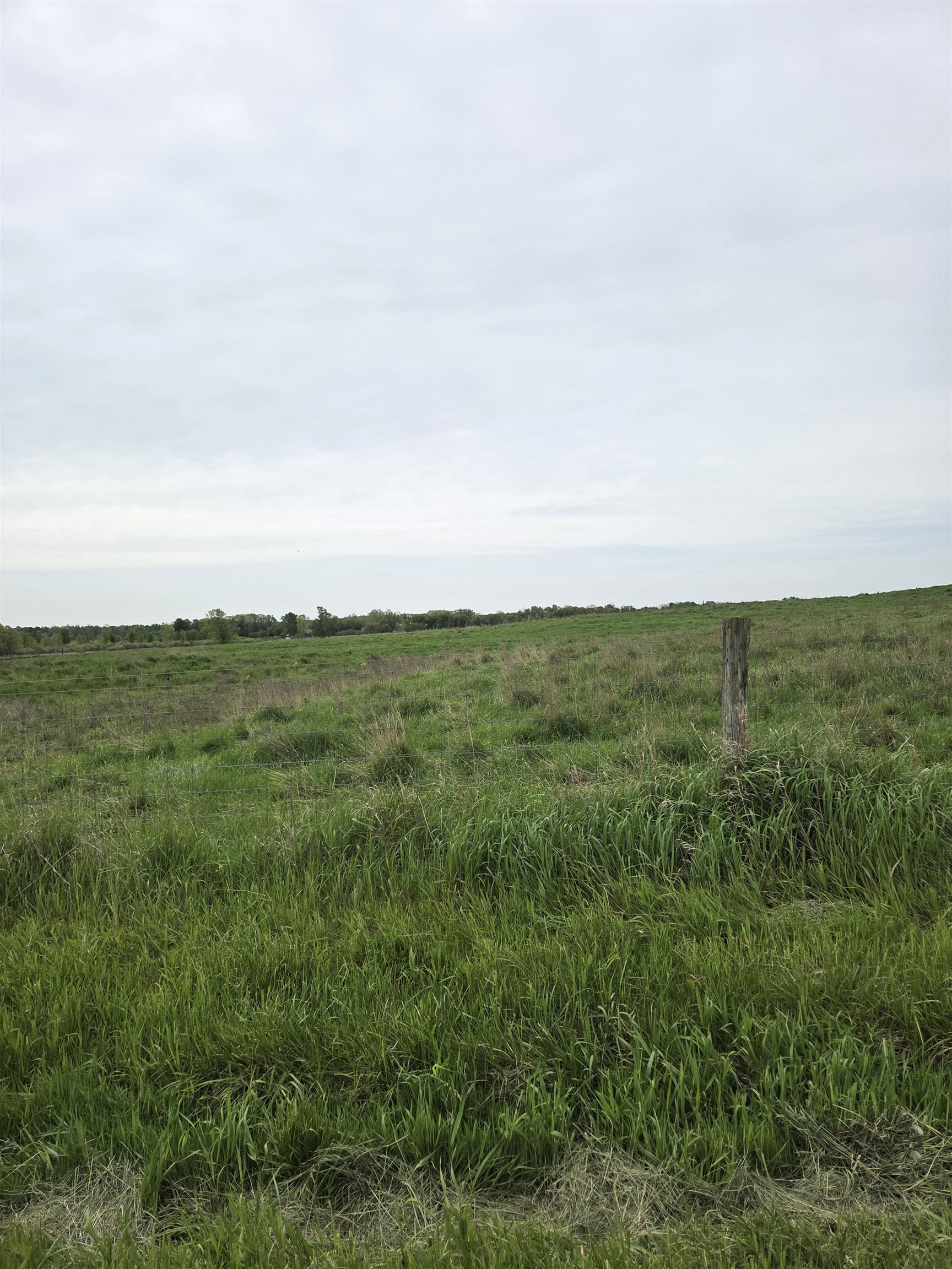 V/l E Stevenson Lake Road Property Photo 4