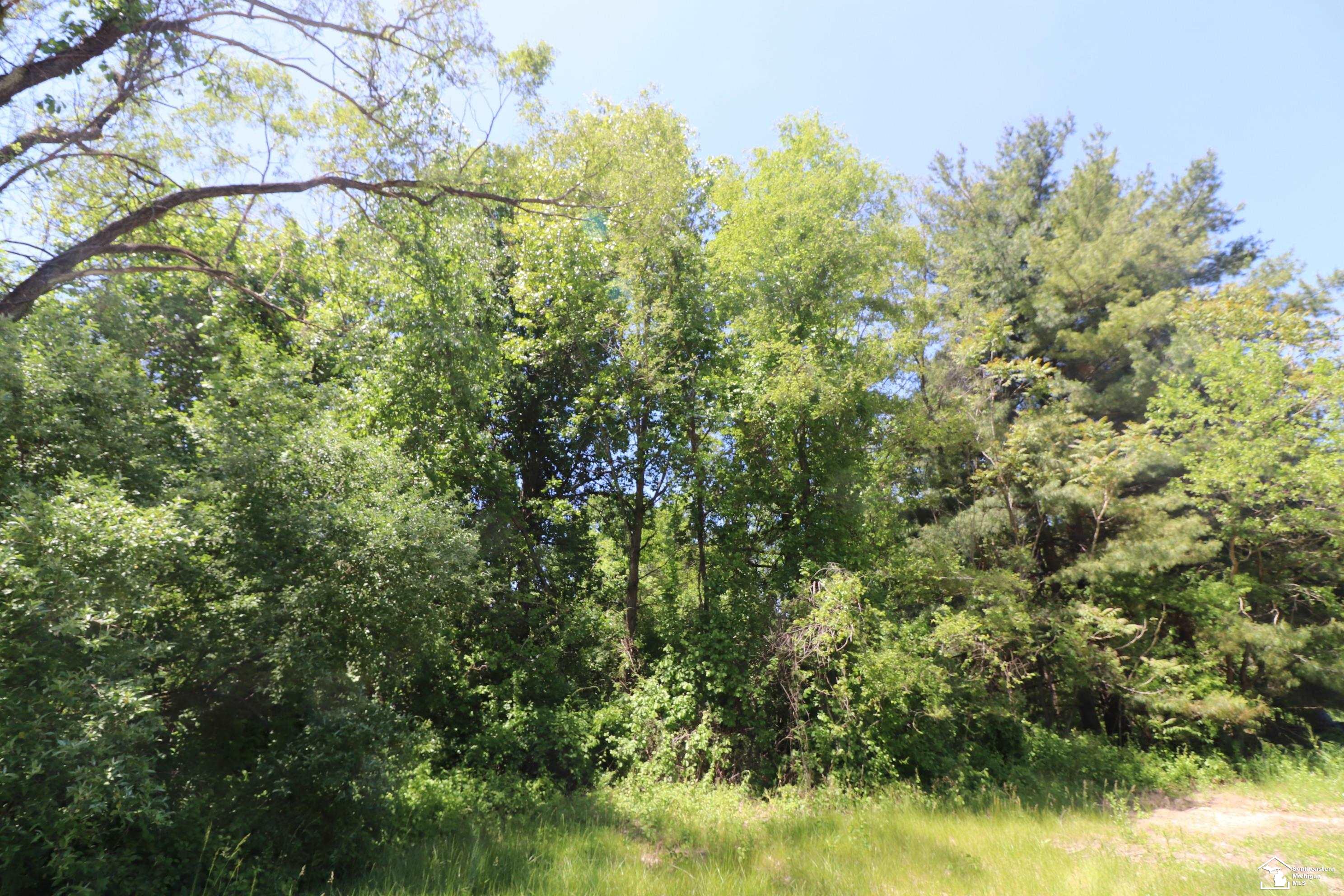2630 W Temperance Road Property Photo 2