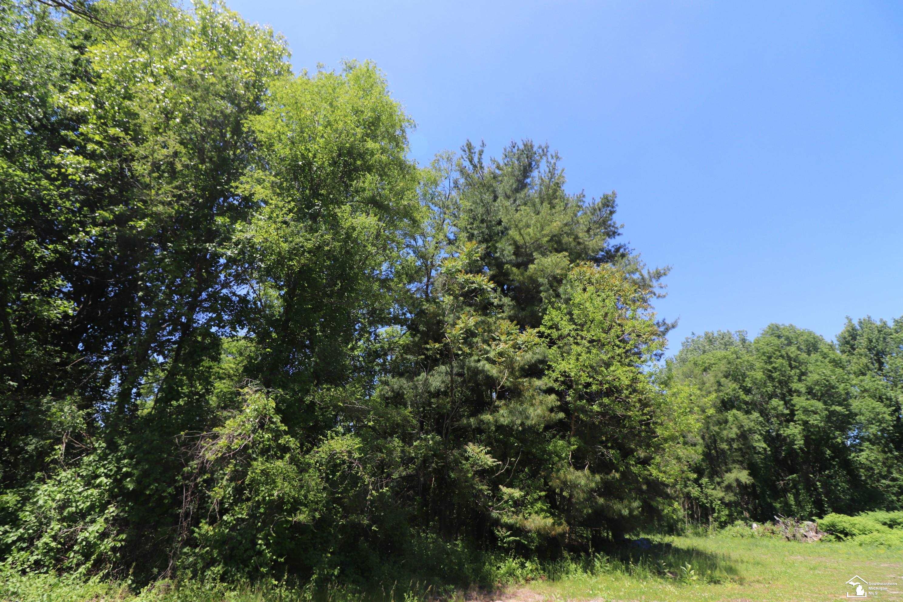 2630 W Temperance Road Property Photo 3