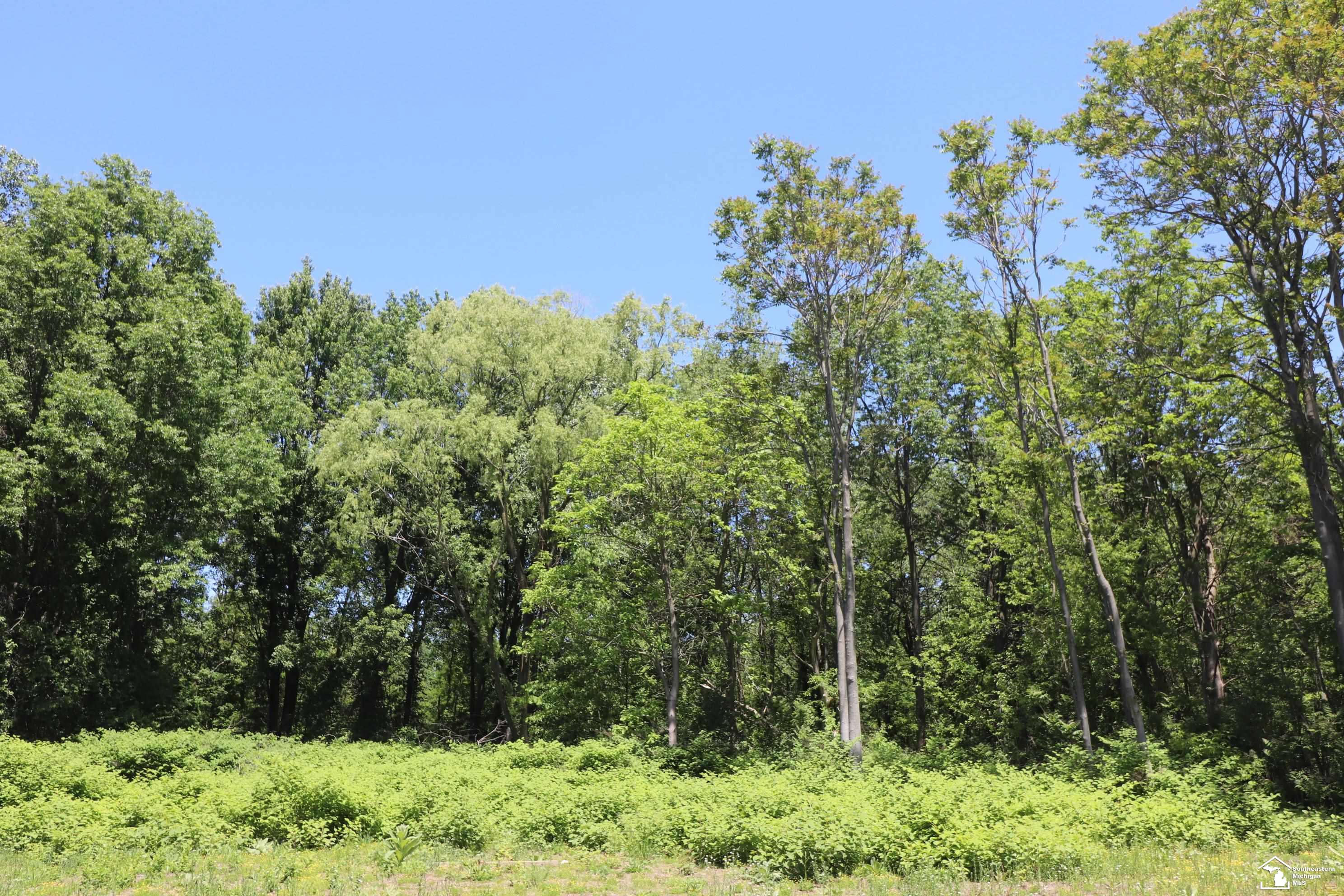 2630 W Temperance Road Property Photo 4