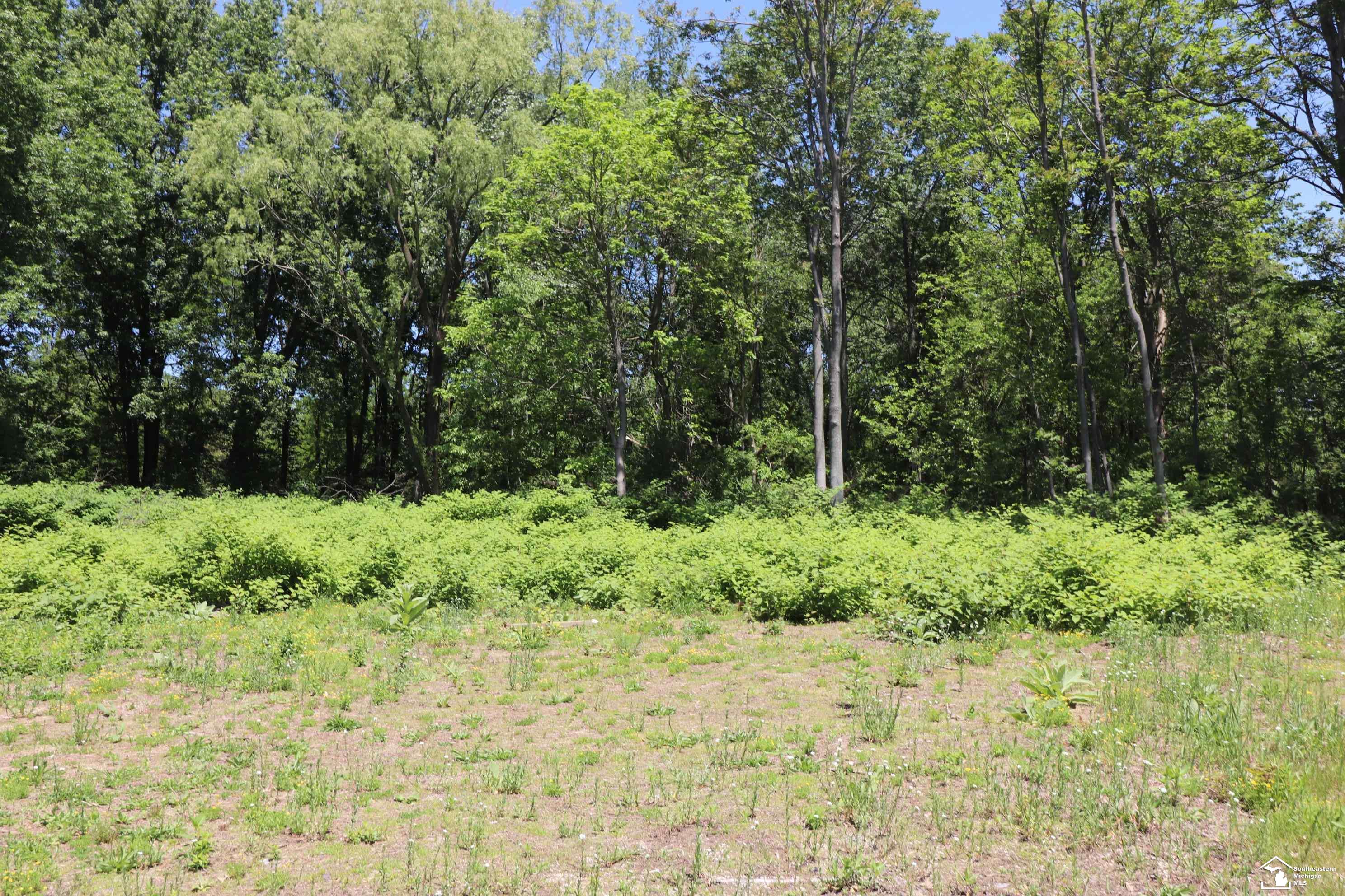 2630 W Temperance Road Property Photo 6