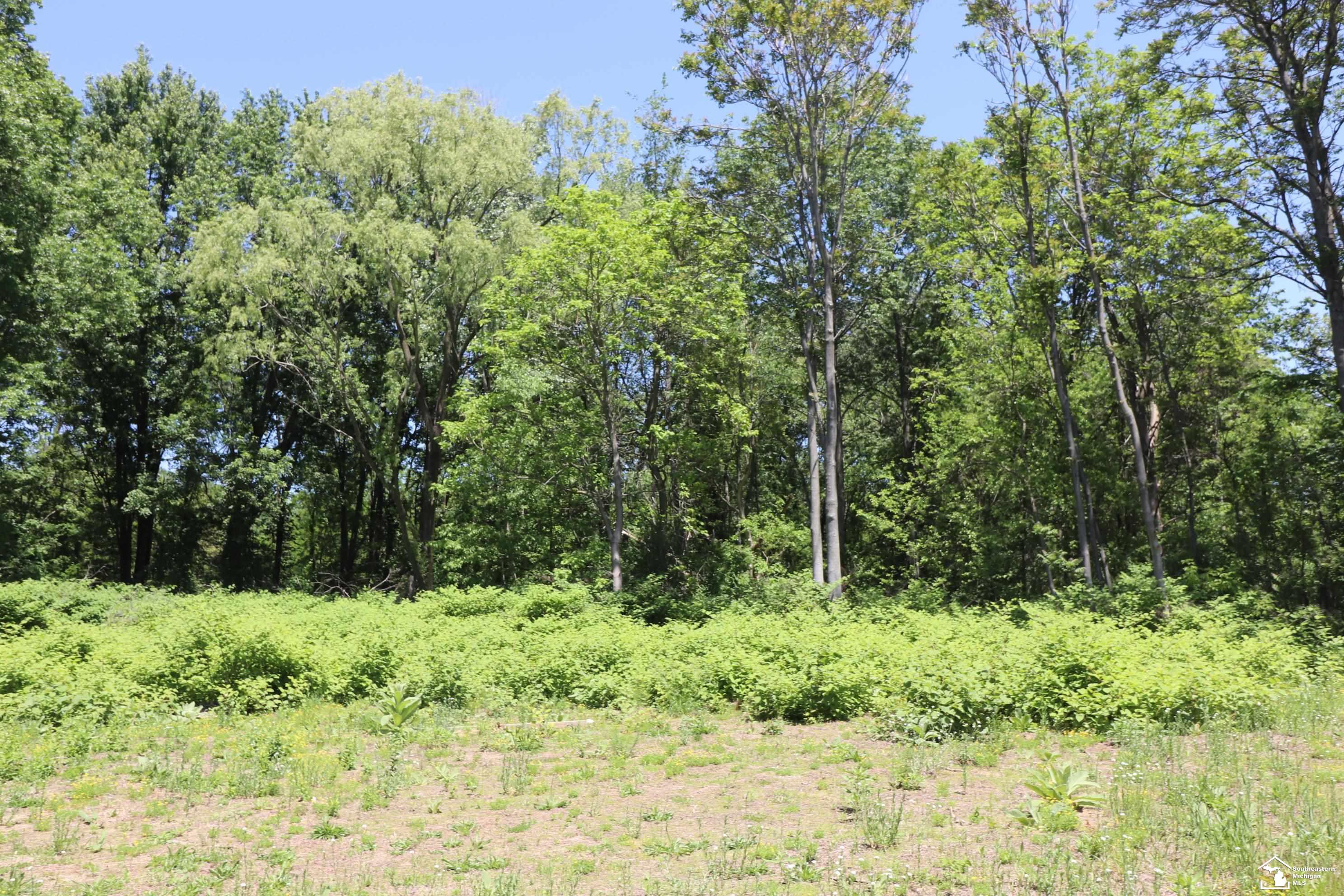 2630 W Temperance Road Property Photo 7