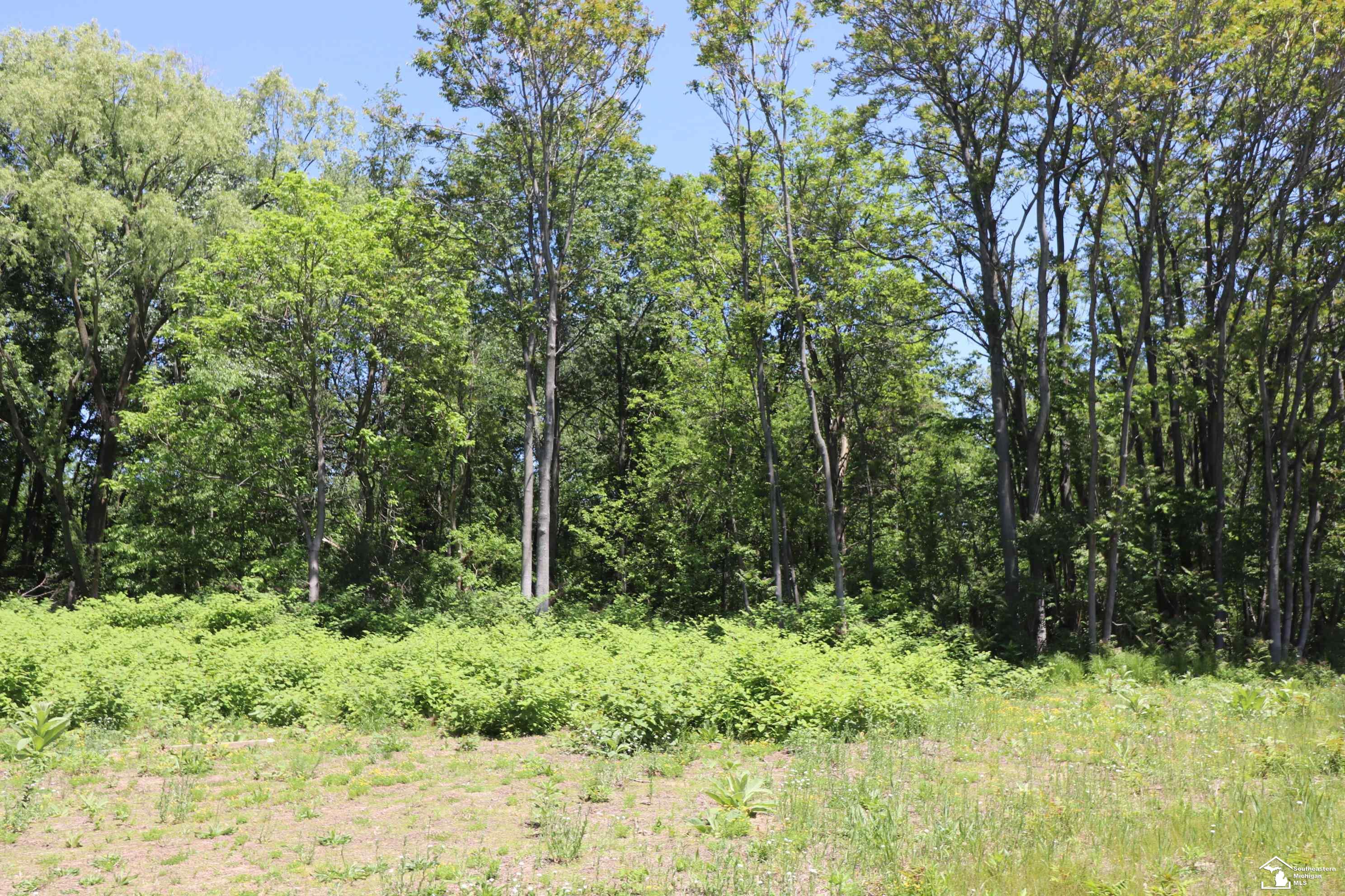 2630 W Temperance Road Property Photo 8